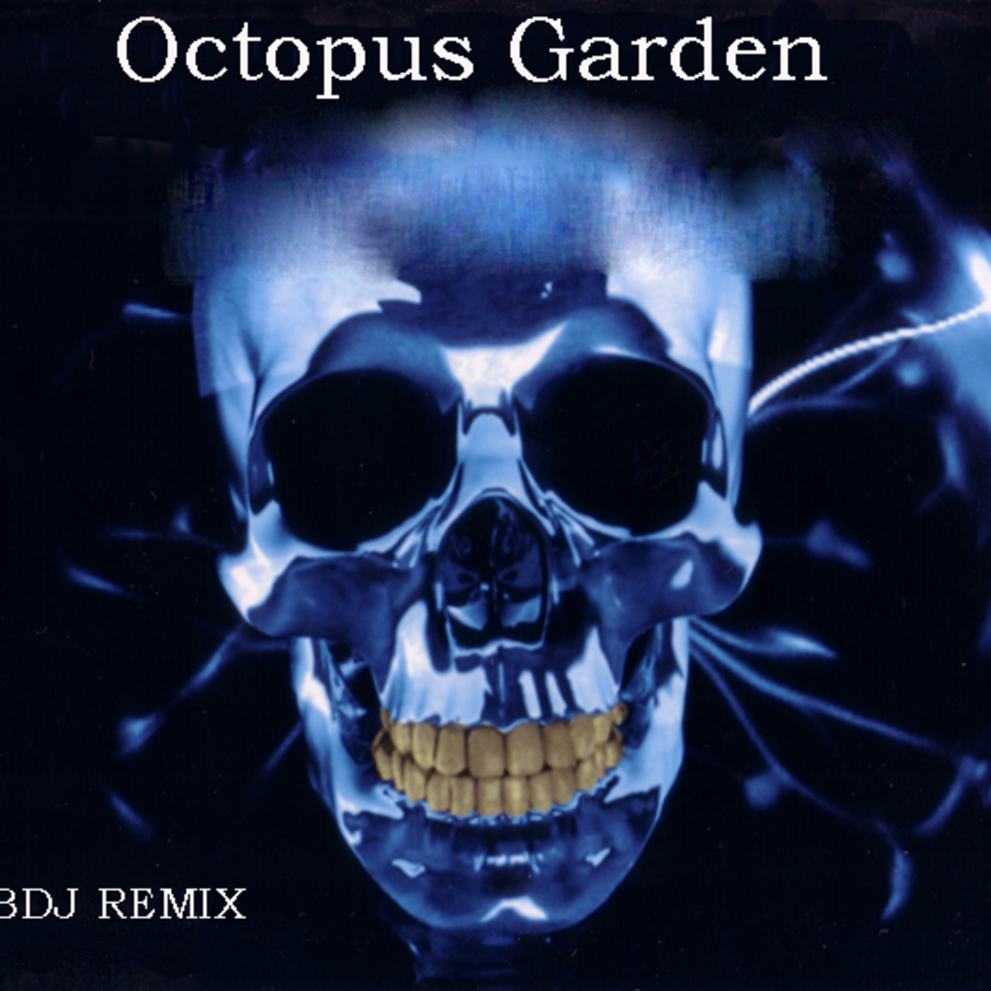 Octopus Garden (party Remix) episode artwork