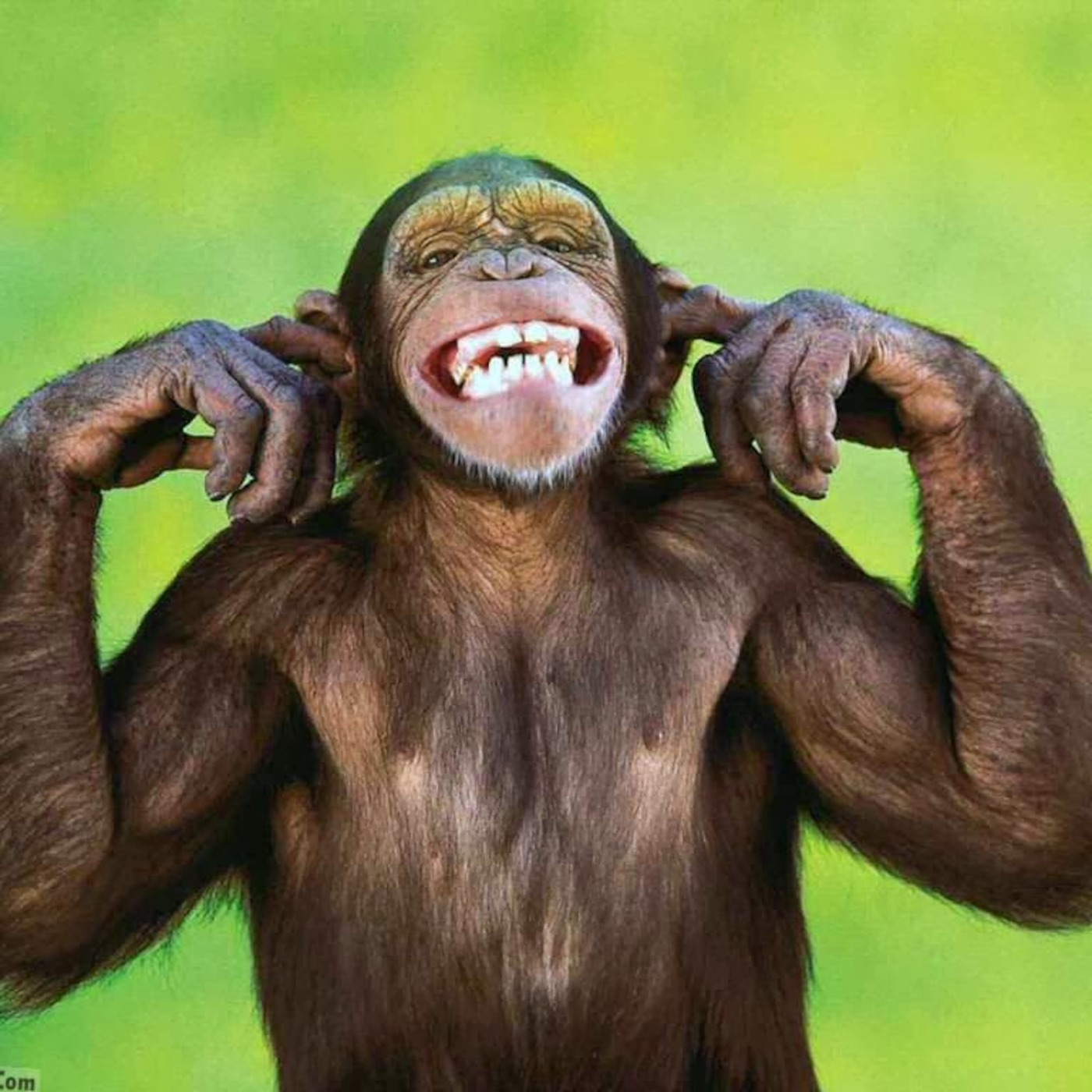 LogiK Monkey - The 1st Mix