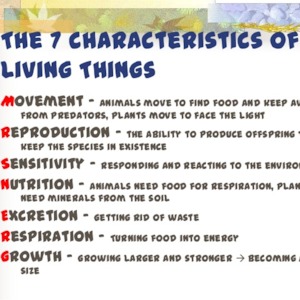 Characteristics Of Living Things