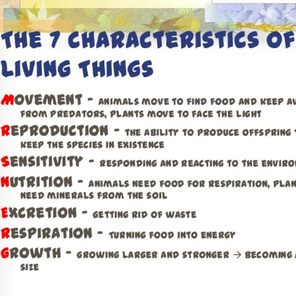 The Characteristics of Living Things