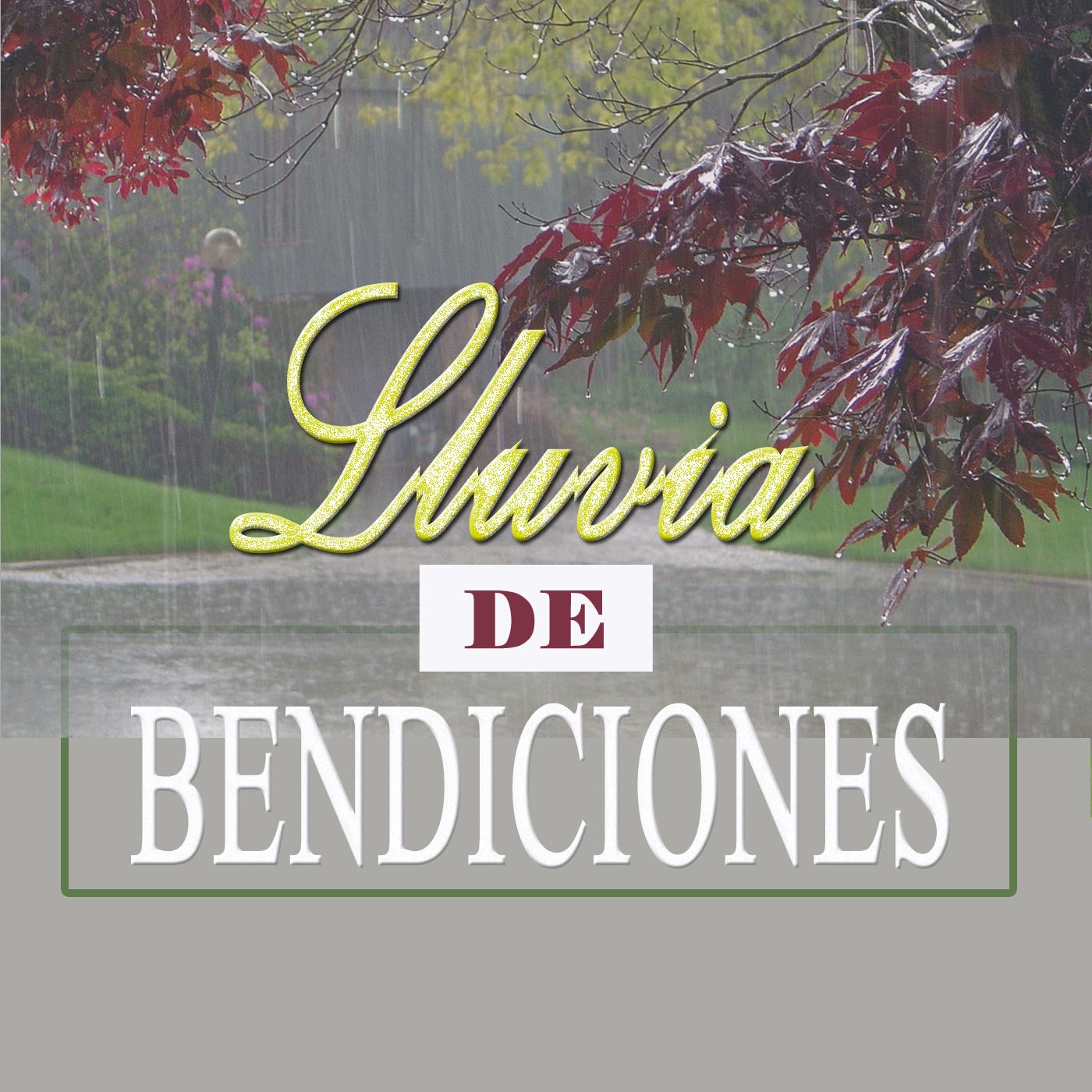 Mujeres En Desafio