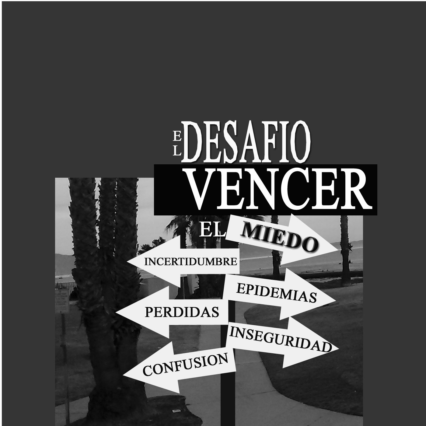 Mujeres En Desafio