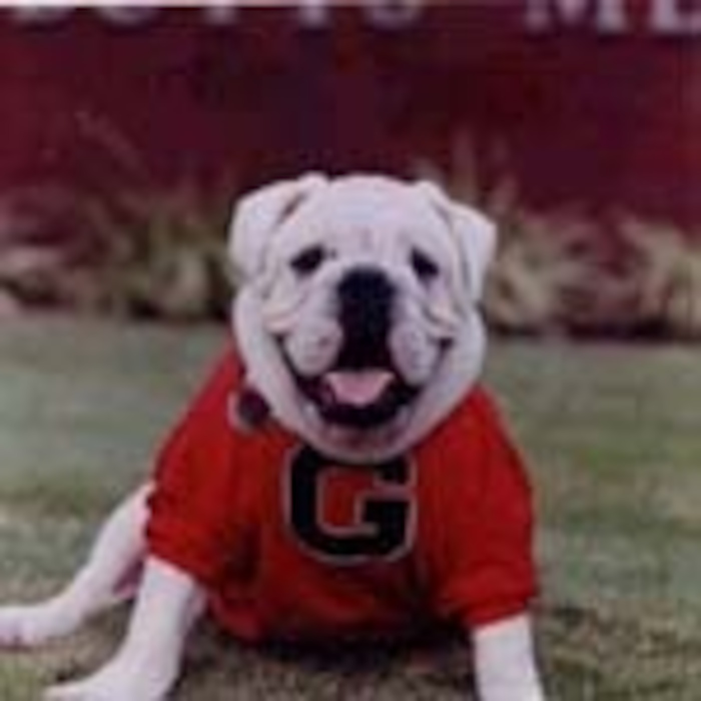 Producer Link Thomas - The Law-man