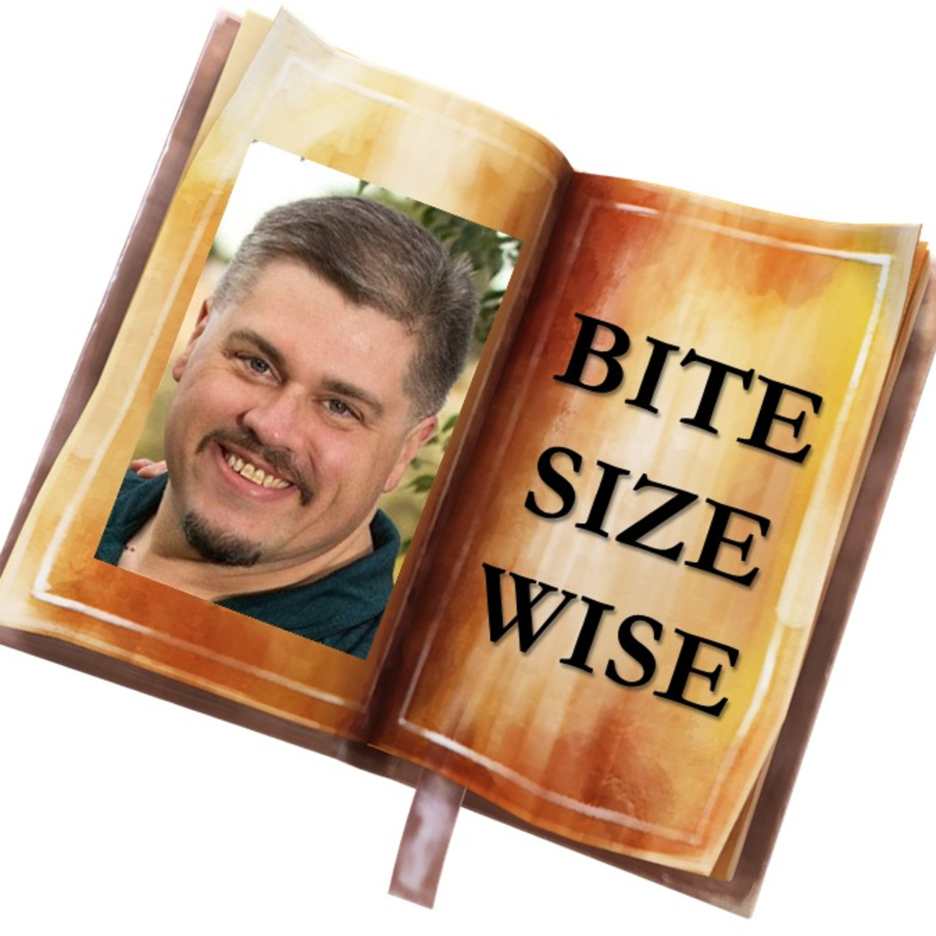 Bite Size Wise