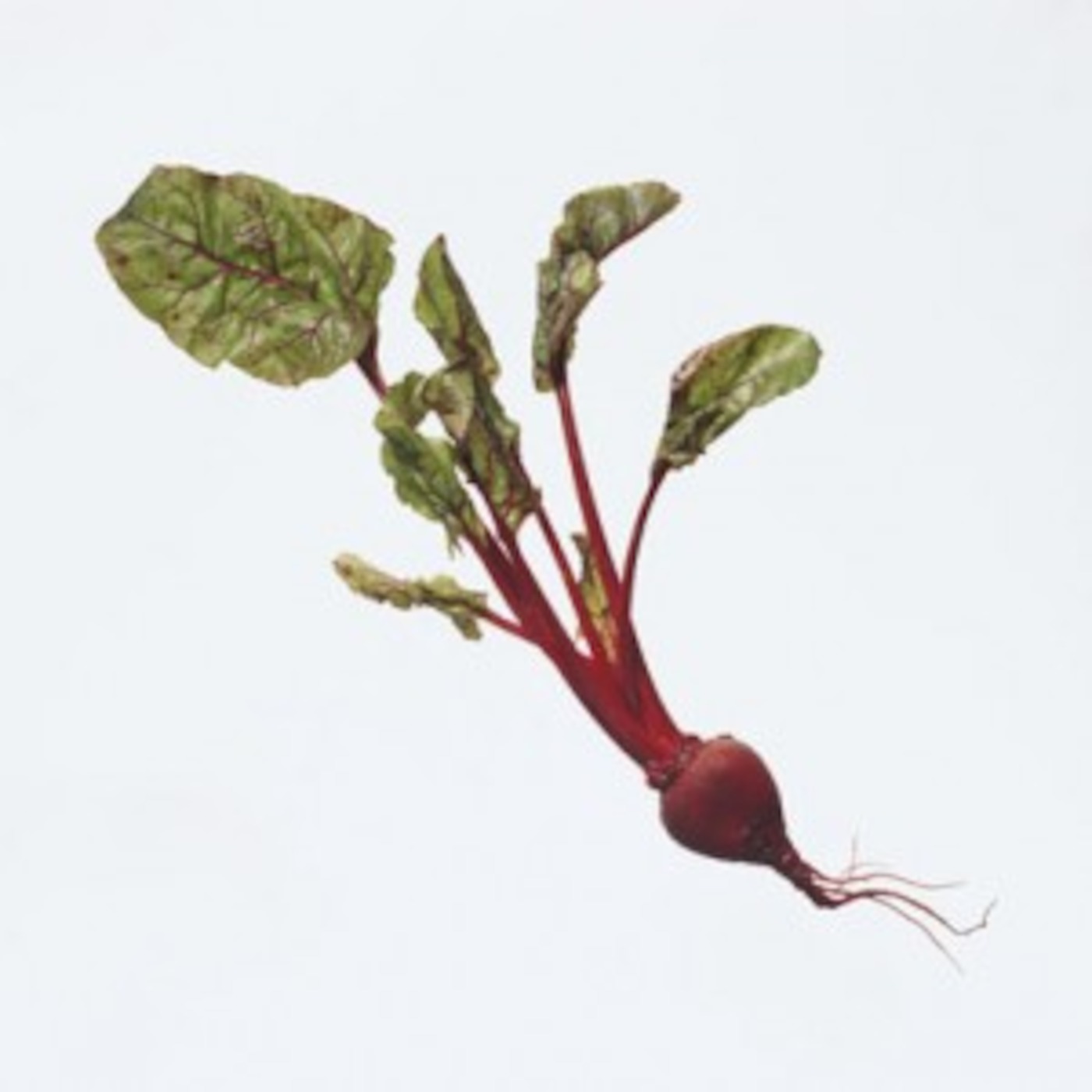 Beetz Vol. 3