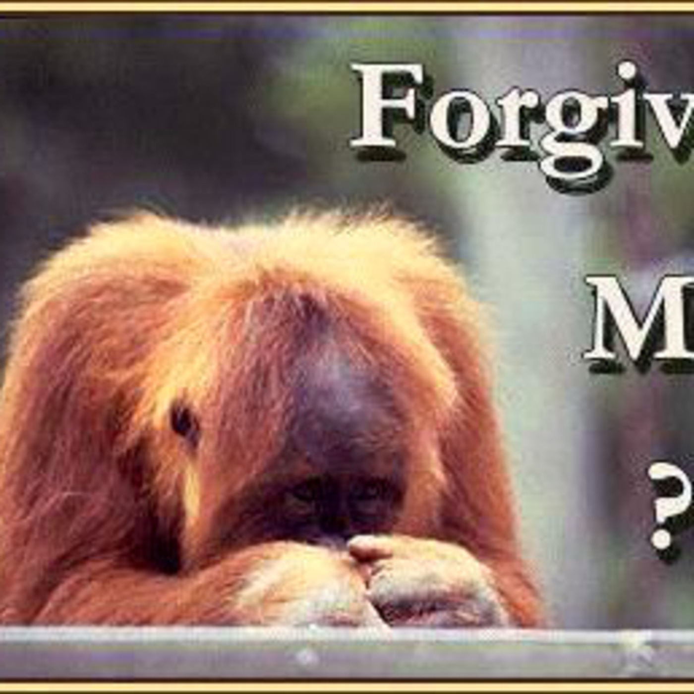The 411 on Forgiveness episode artwork