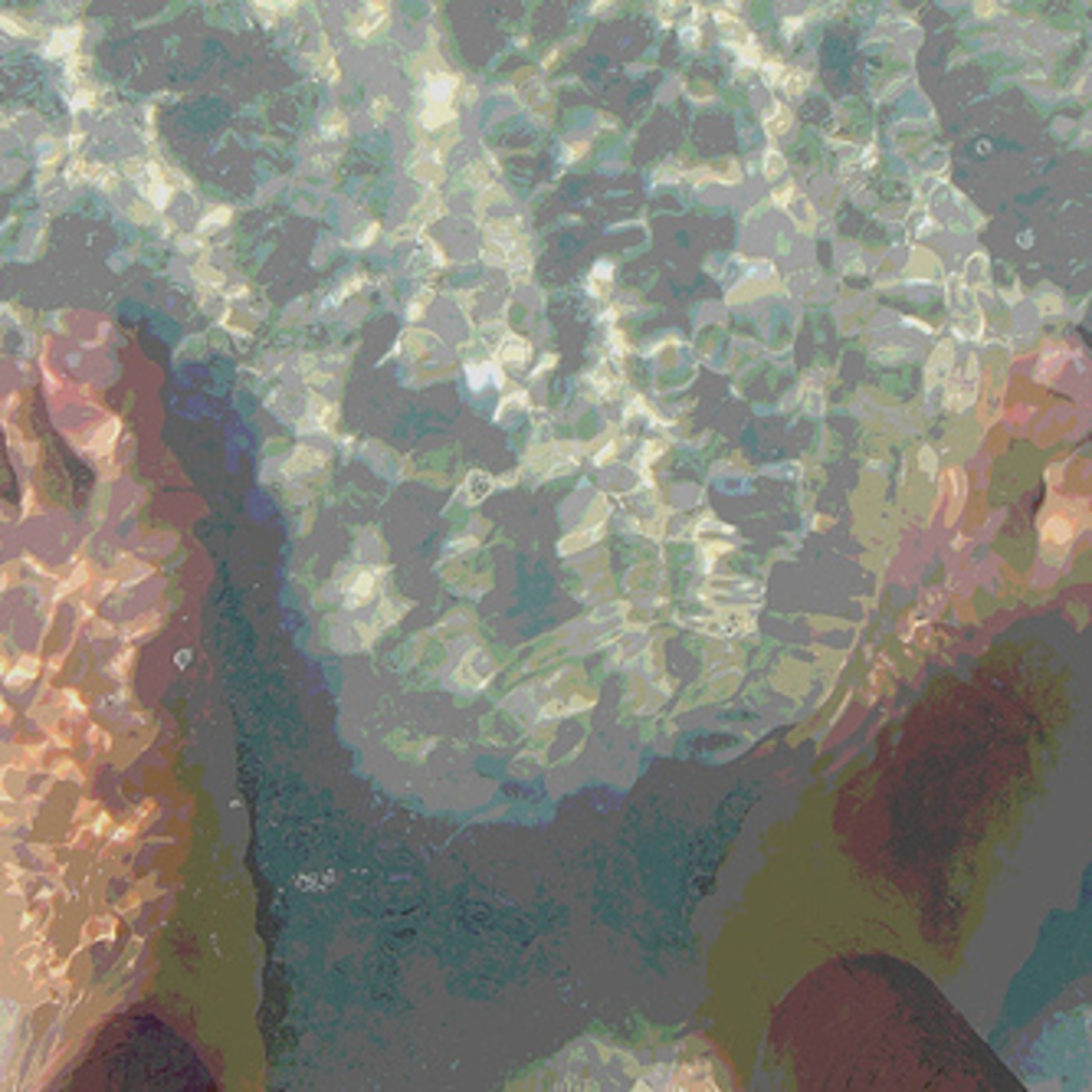 Step Into The Water episode artwork
