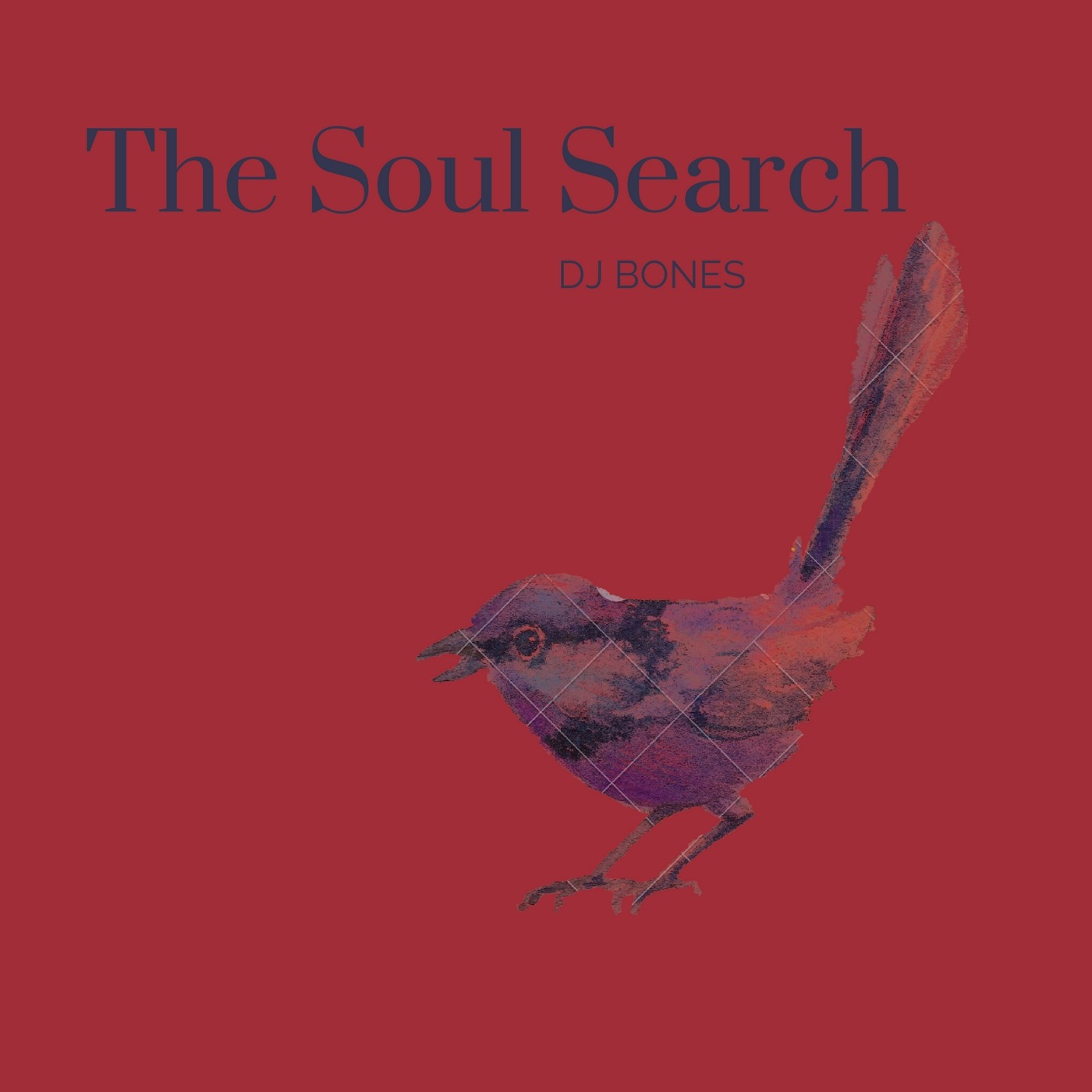 The Soul Search Episode 01