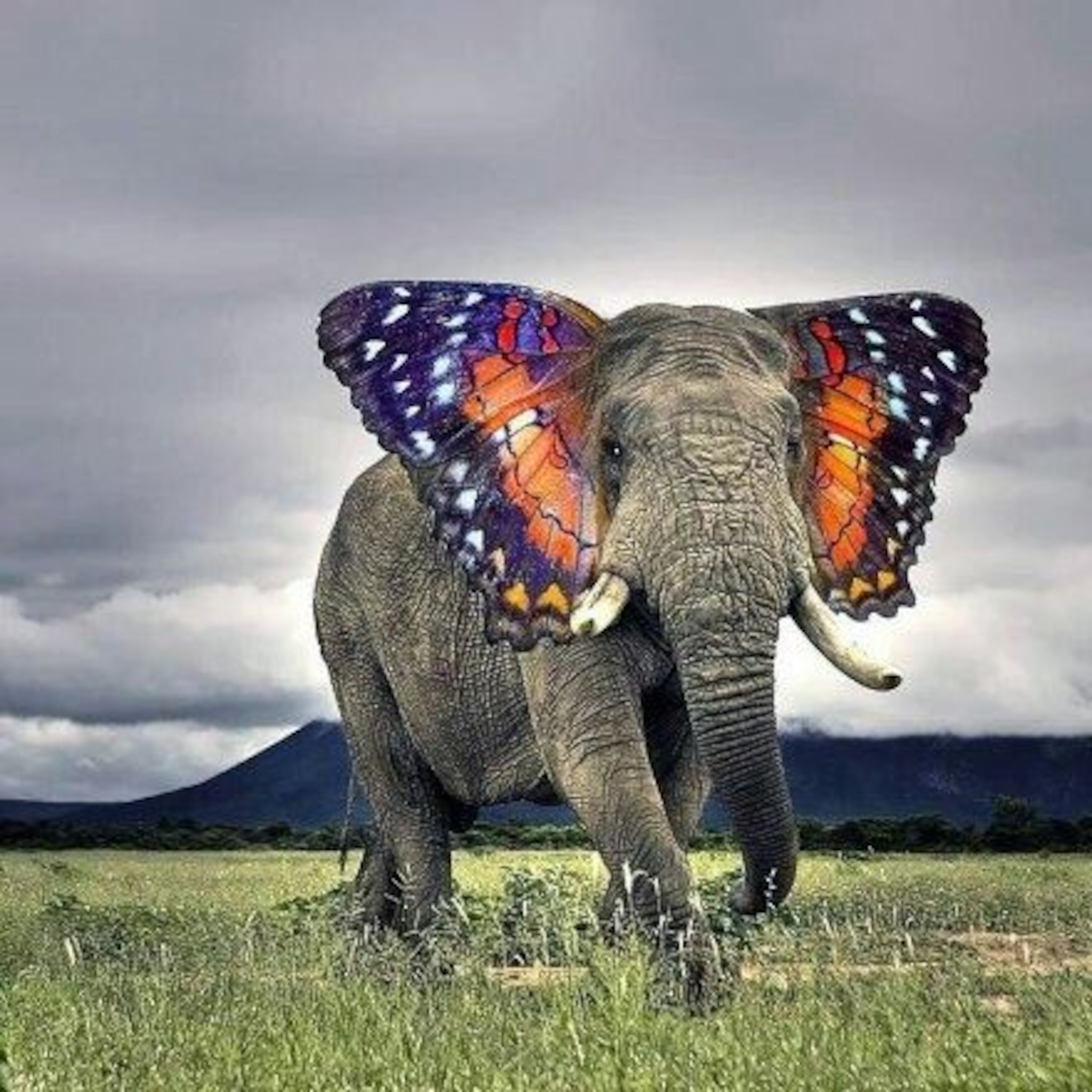 Deep In Africa Podcast