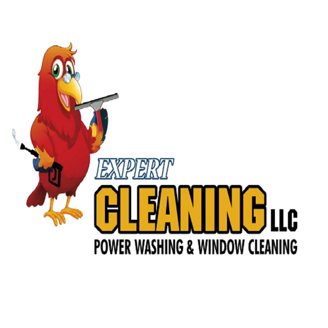 Expert Cleaning