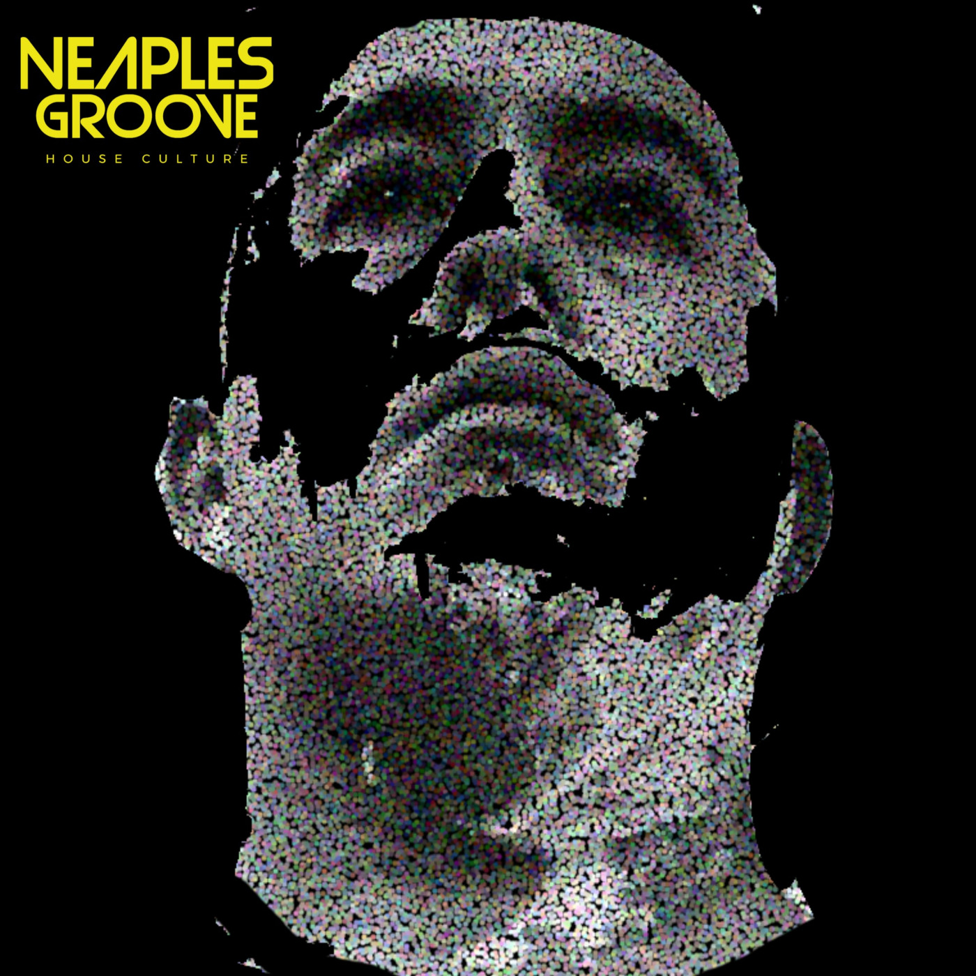 NeaplesGroove live