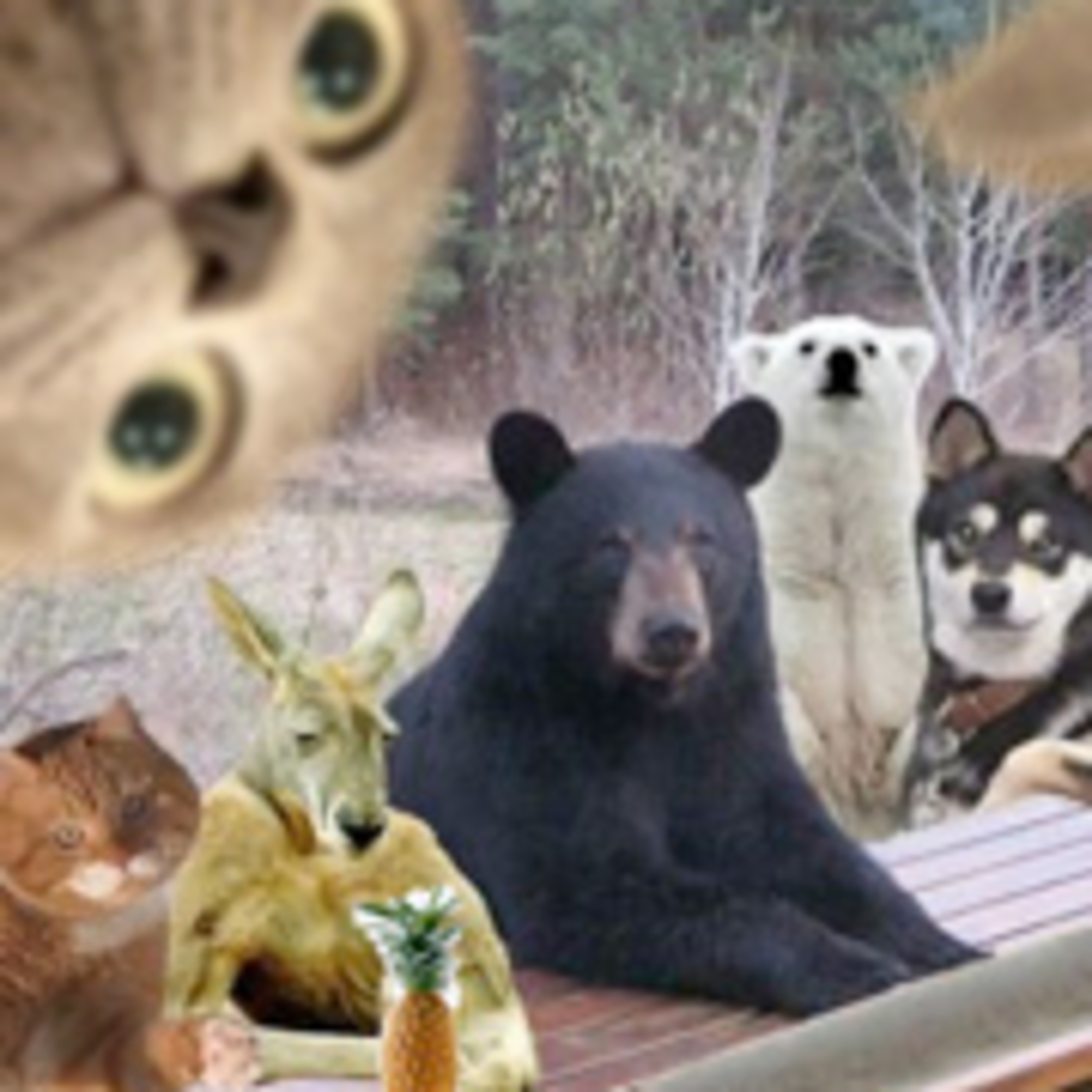 itunes pic