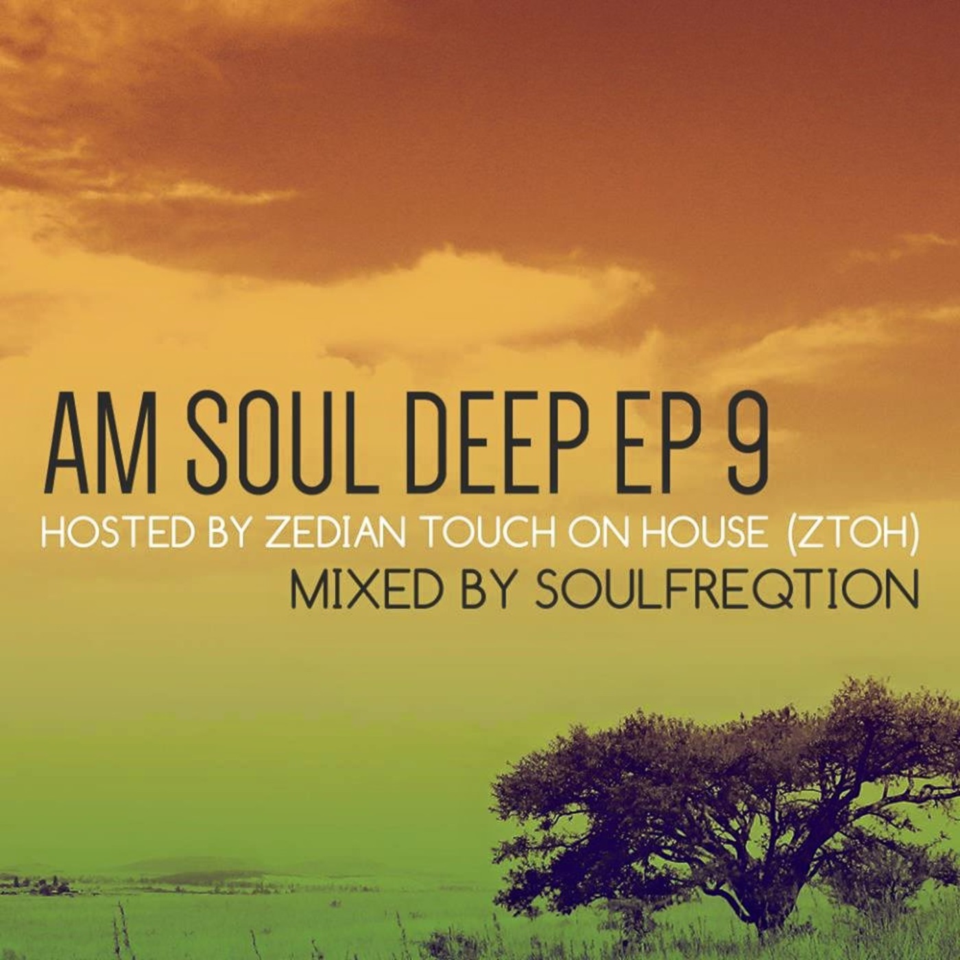 AM SOUL DEEP 9