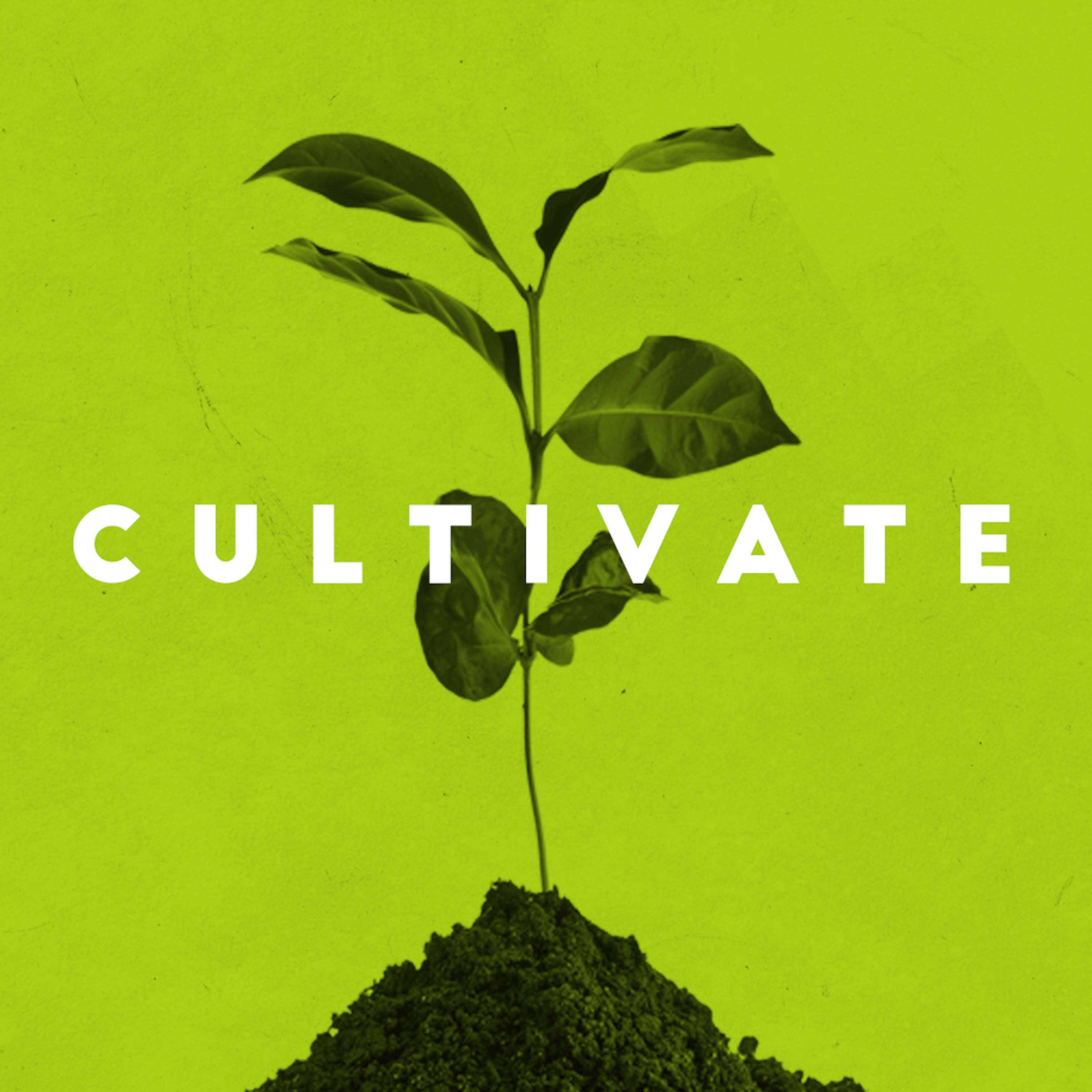 Cultivate Wk6 - 7.11.18 episode artwork