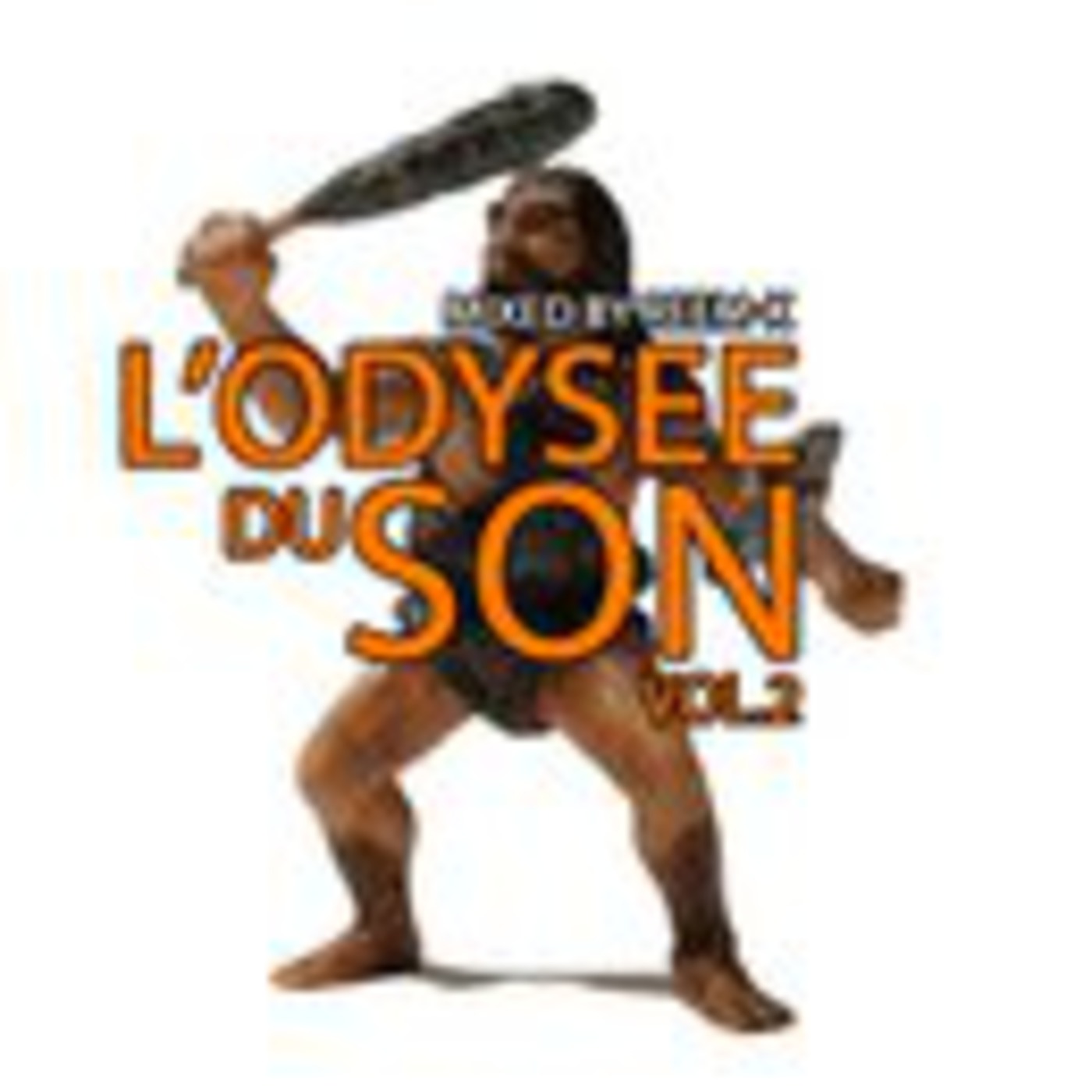 2011 L'ODYSEE DU SON VOL 2