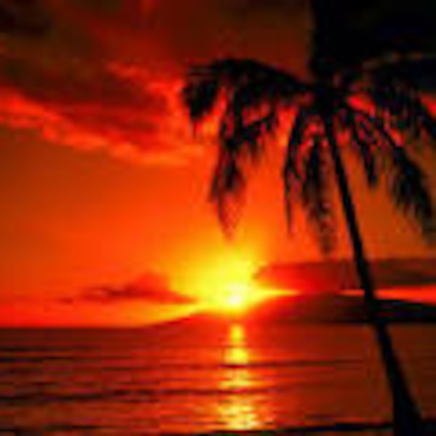 Sunsets Premiere Session | 02.20.2015 Sunsets Premiere Session | 02.20.2015