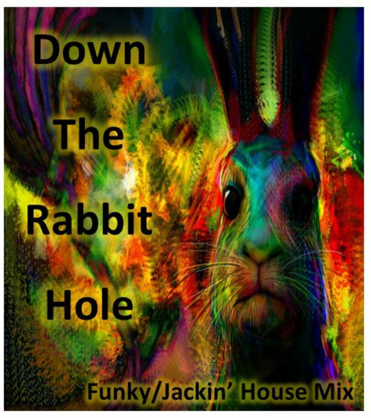 Down The Rabbit Hole