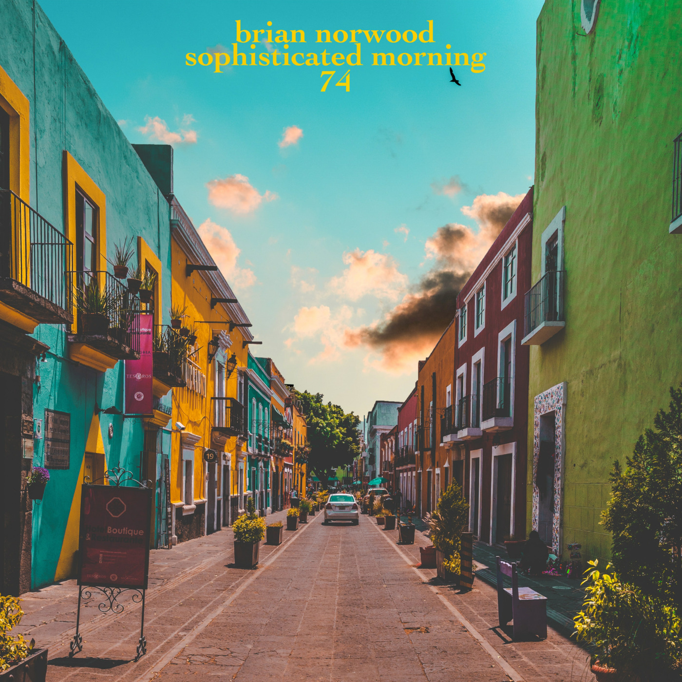 Mixed Emotions by Brian Norwood