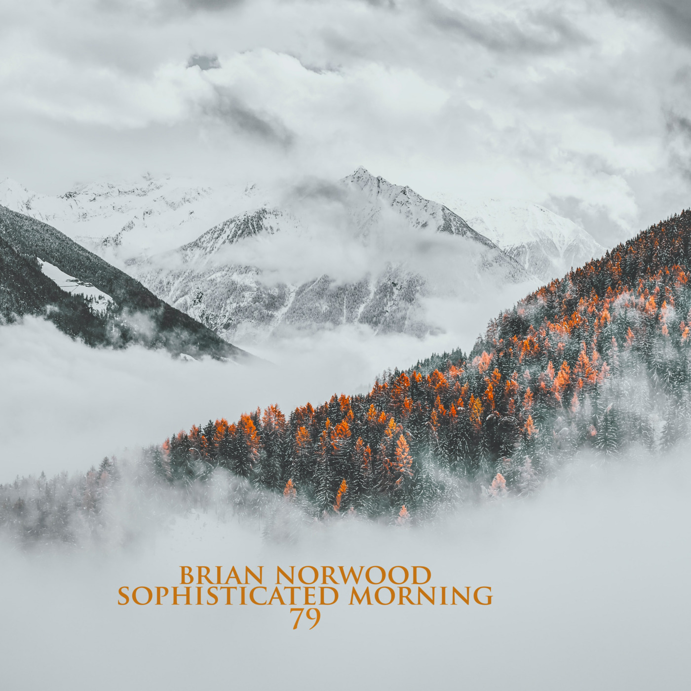 Mixed Emotions by Brian Norwood