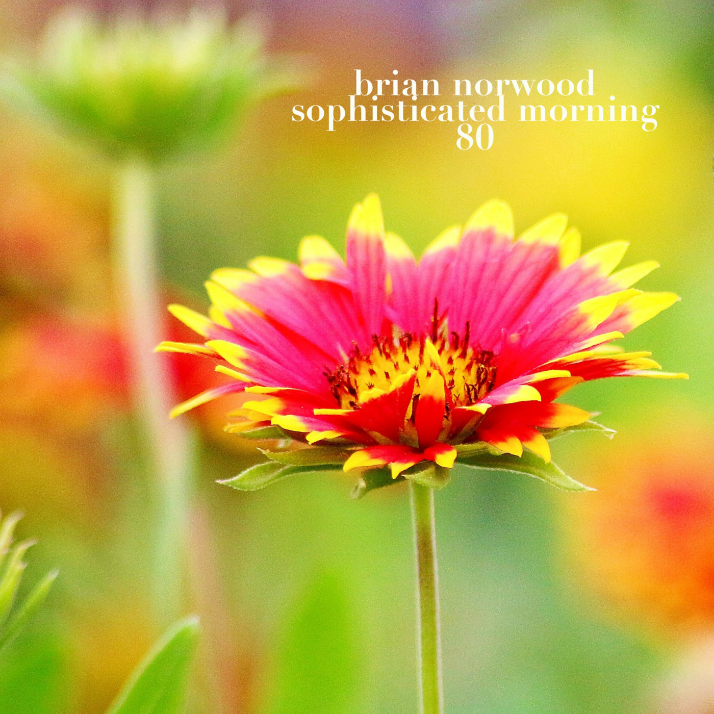 Mixed Emotions by Brian Norwood