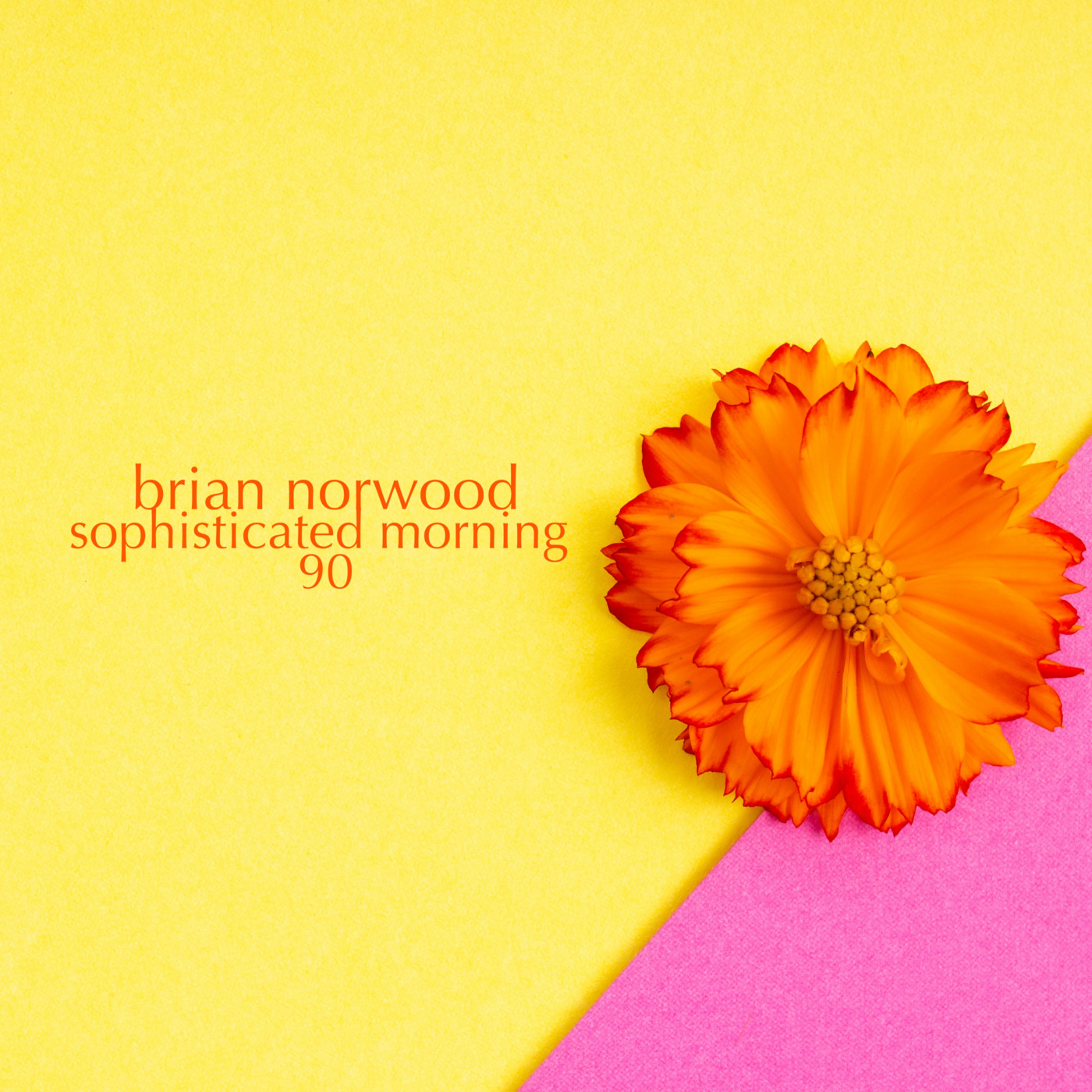 Mixed Emotions by Brian Norwood