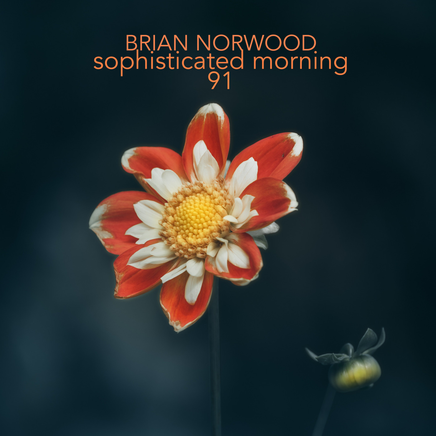 Mixed Emotions by Brian Norwood