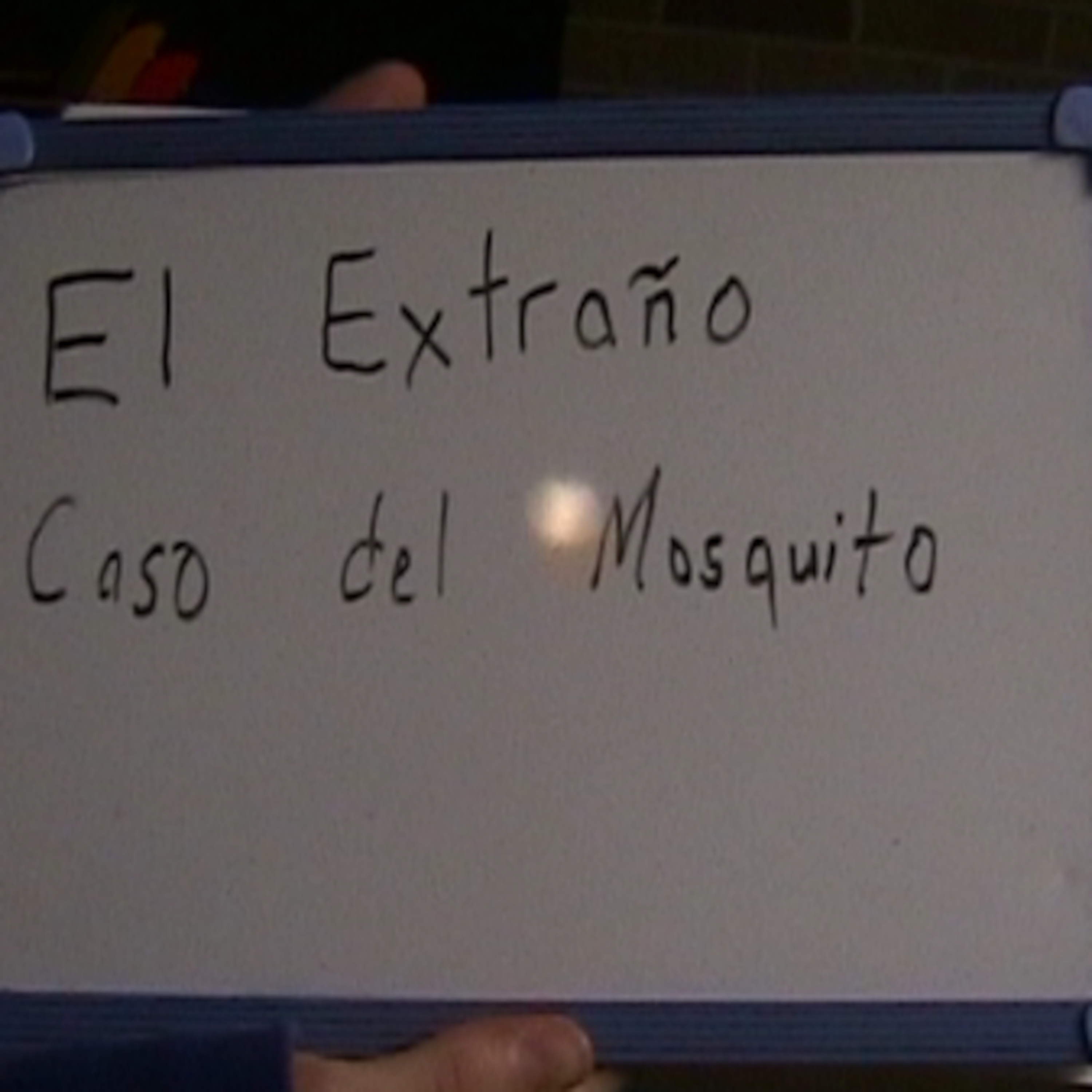 Episode #7 - El Extraño Caso Del Mosquito/ Alishia's Health Video episode artwork