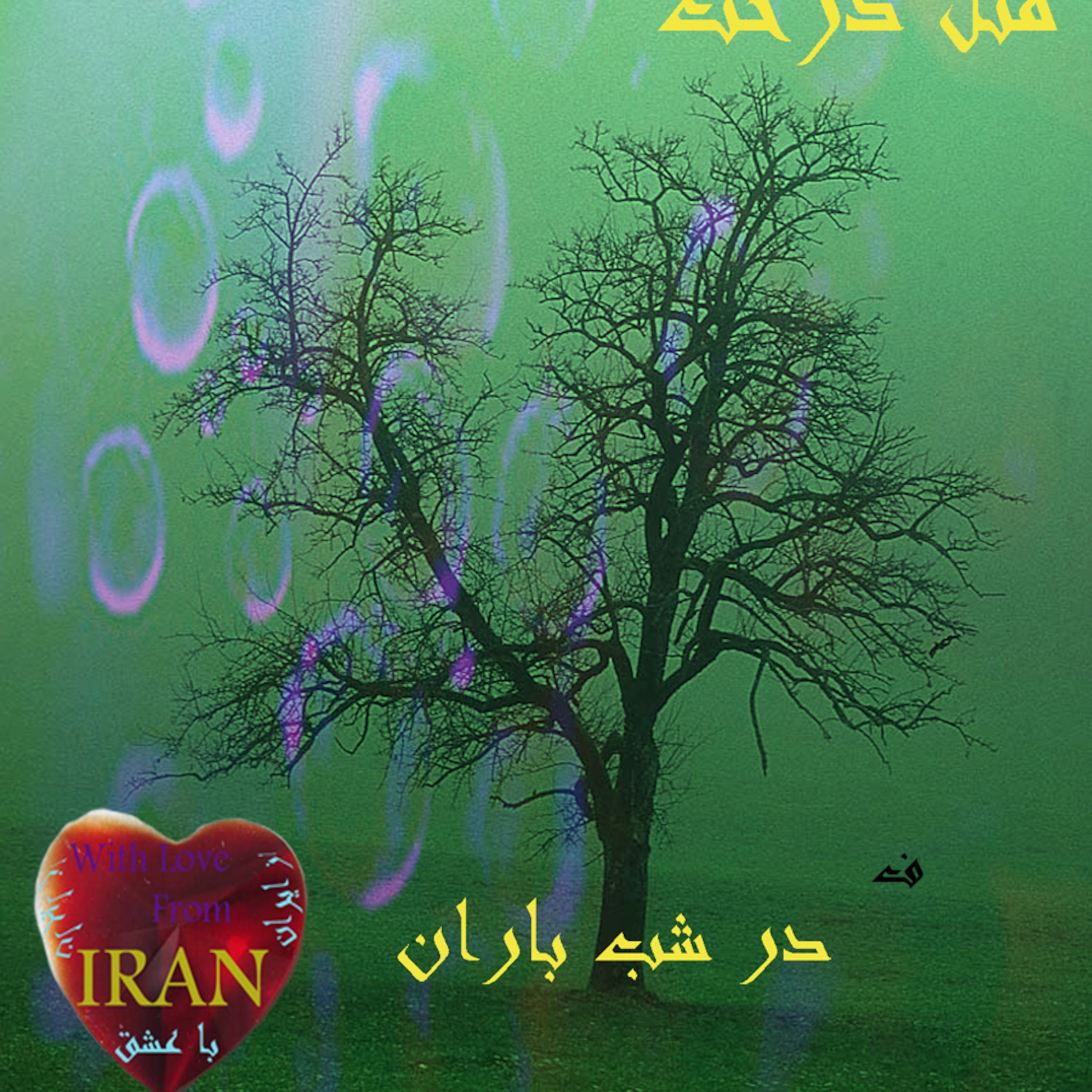 مثل درخت در شب باران.... episode artwork