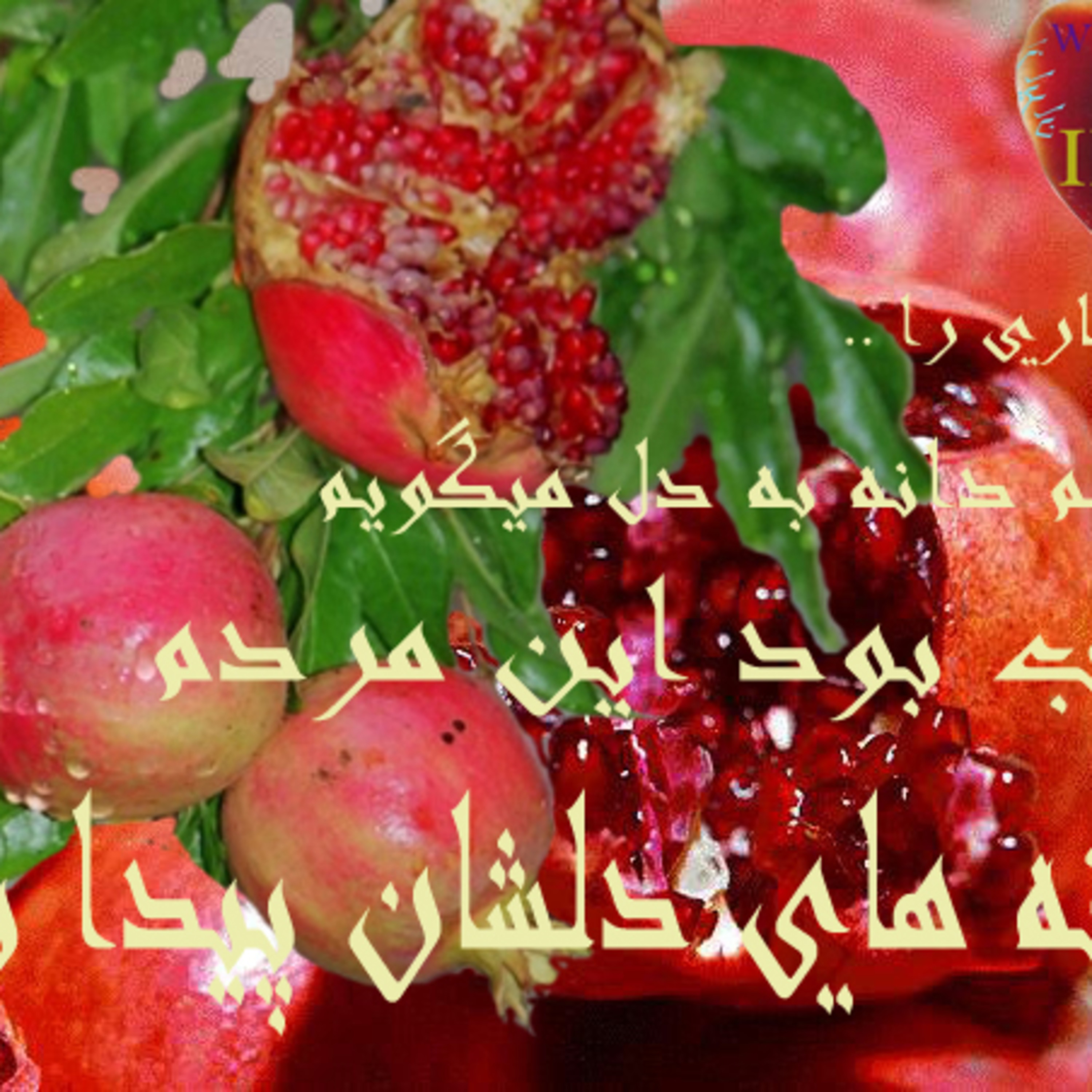 انار.... episode artwork
