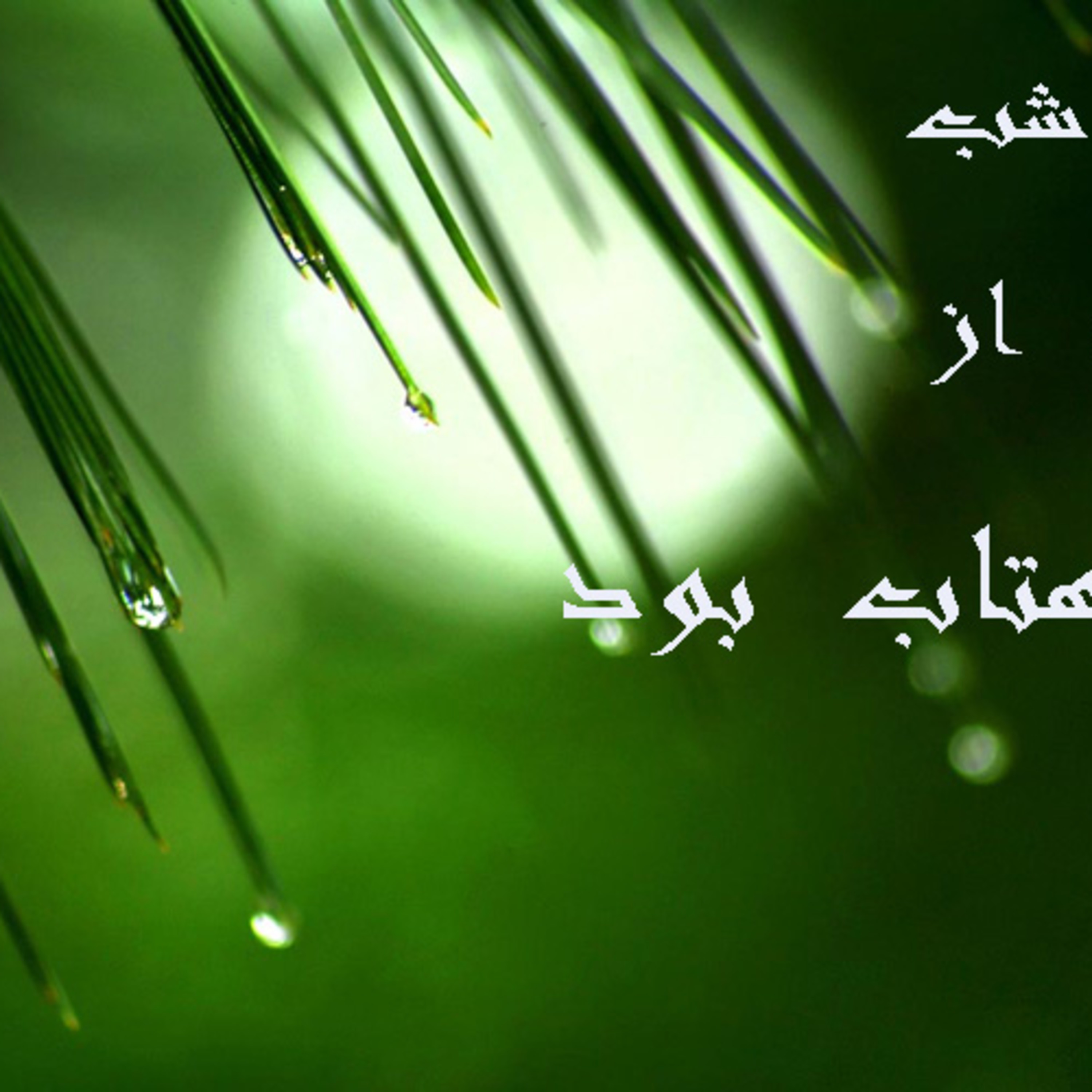 باغ شب..... episode artwork