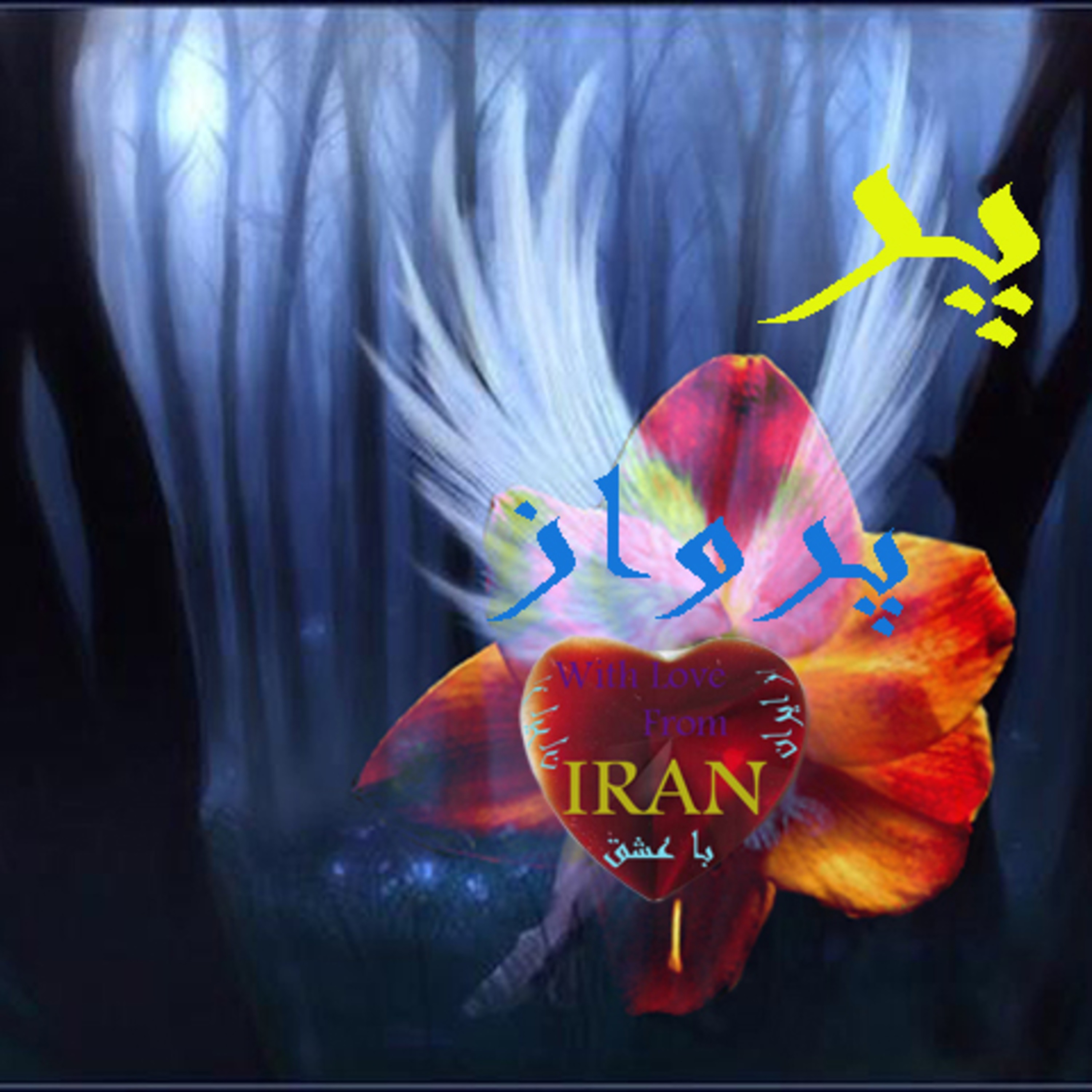 پر پرواز..... episode artwork