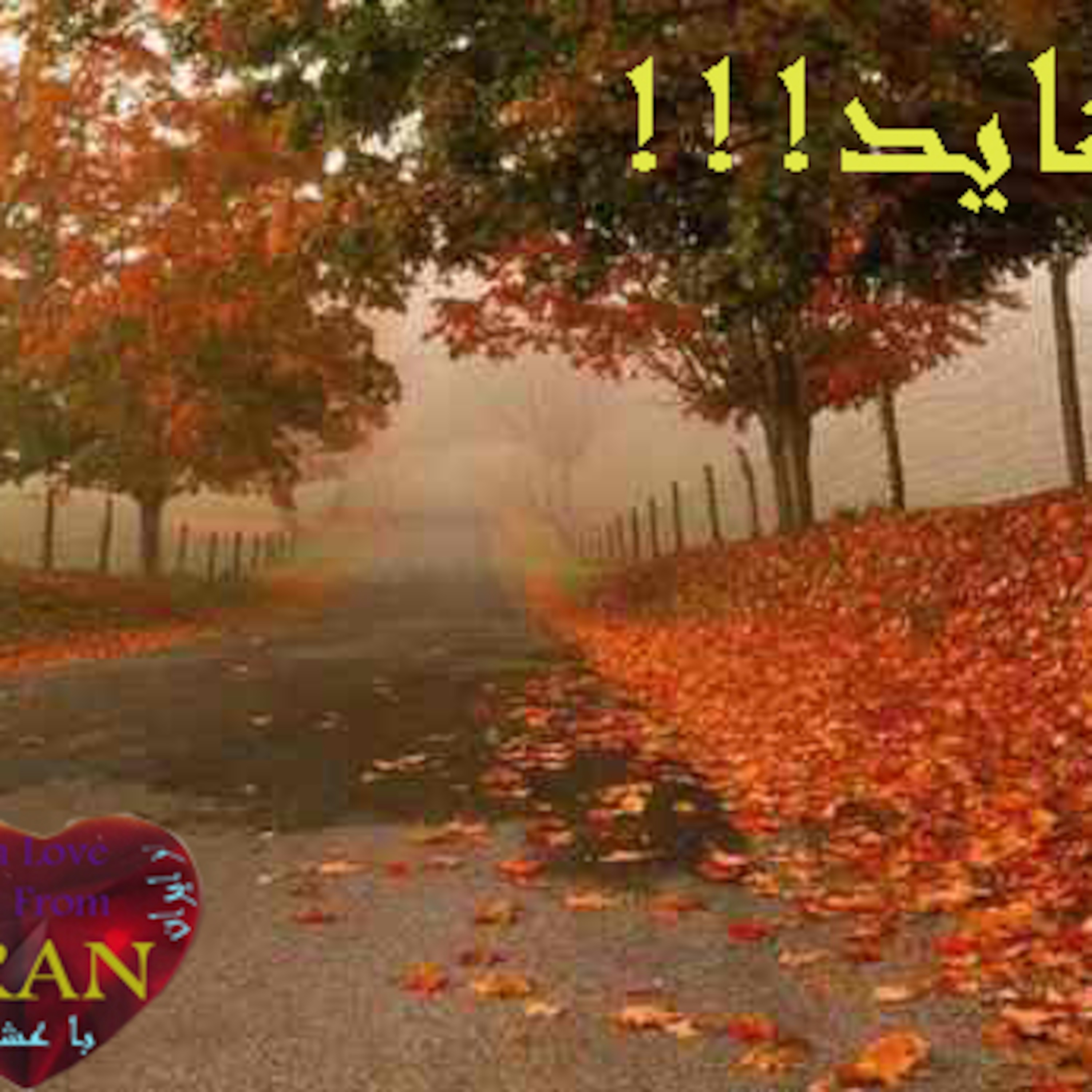 .....شاید episode artwork