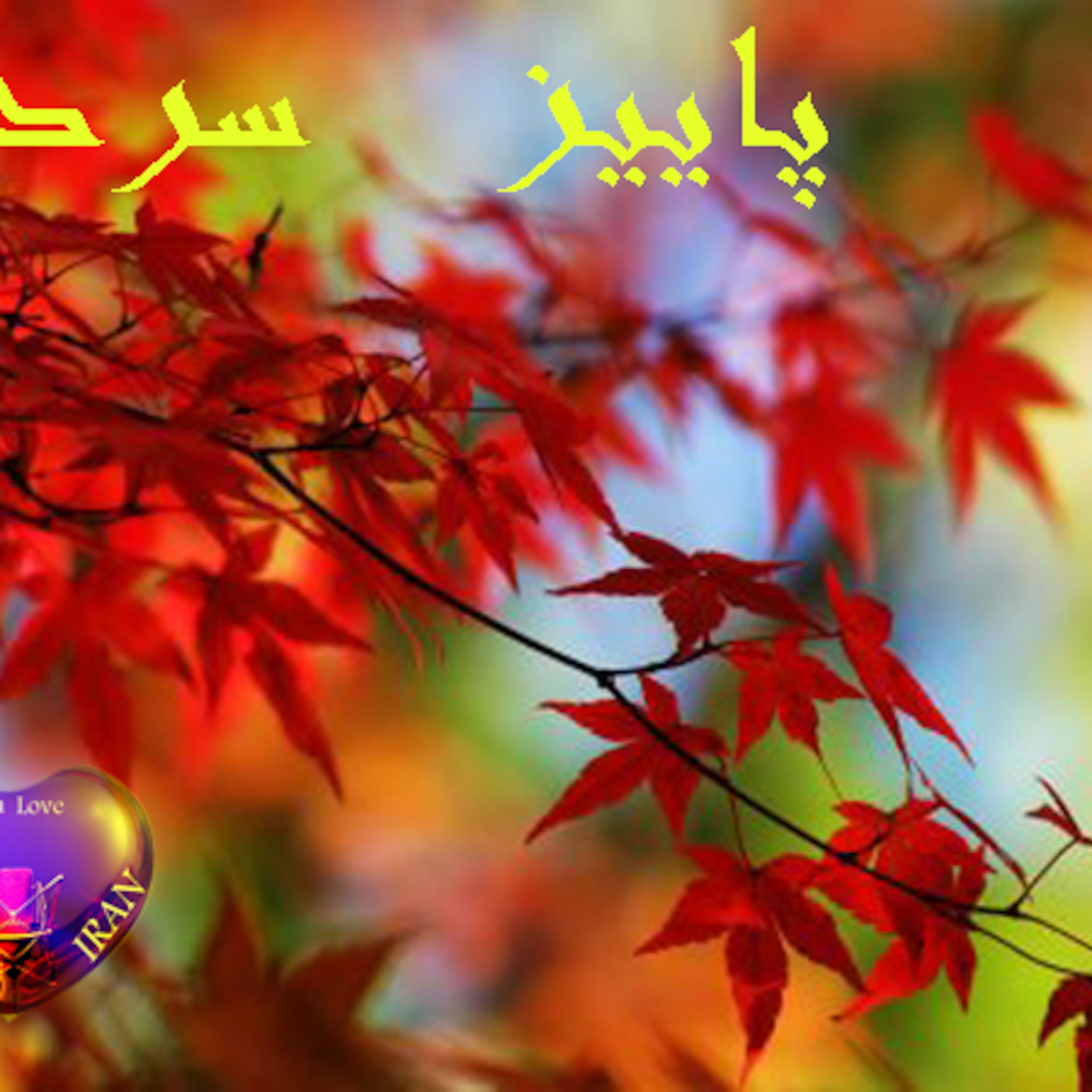 ---پاییز سردم... episode artwork