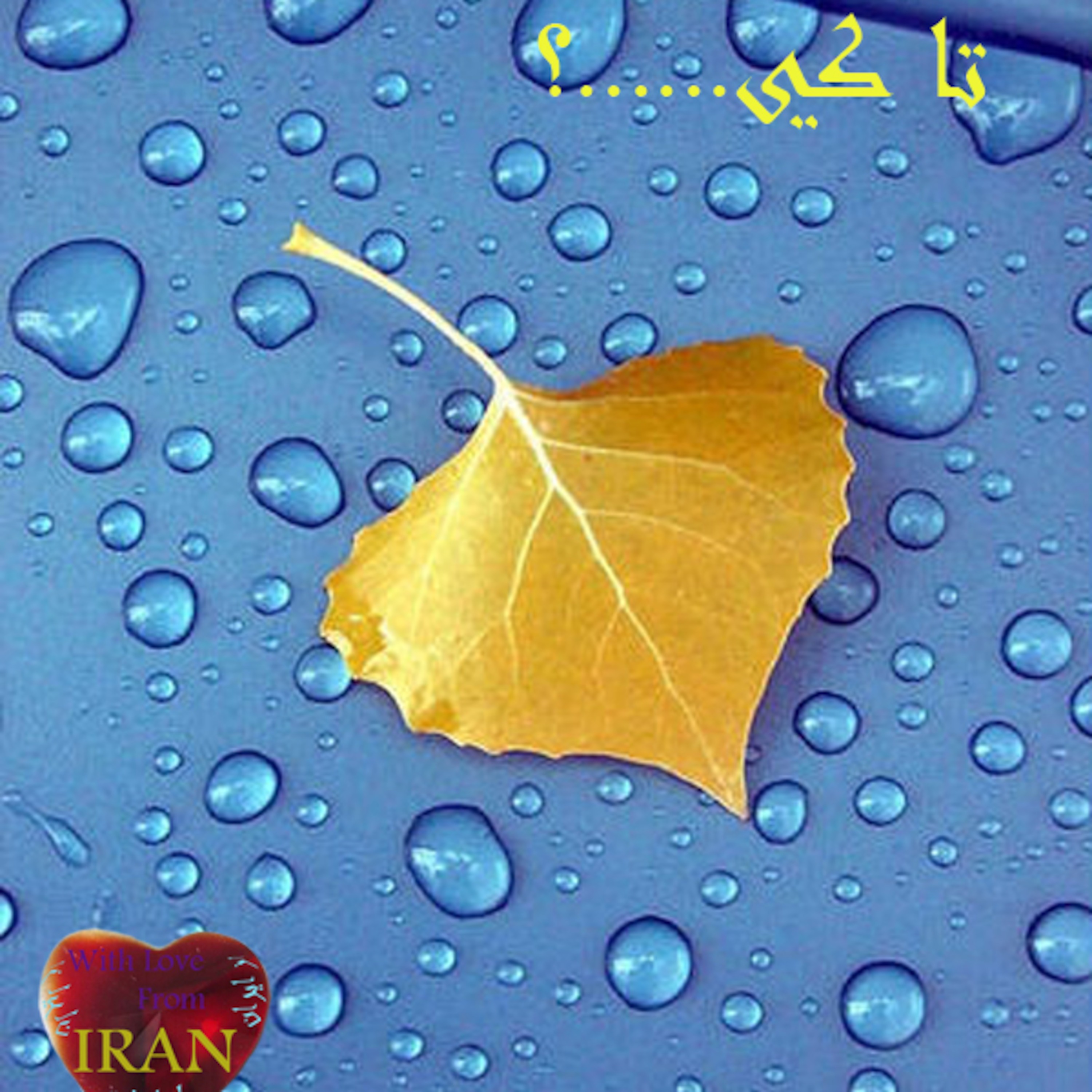 .تا کی.....؟ episode artwork