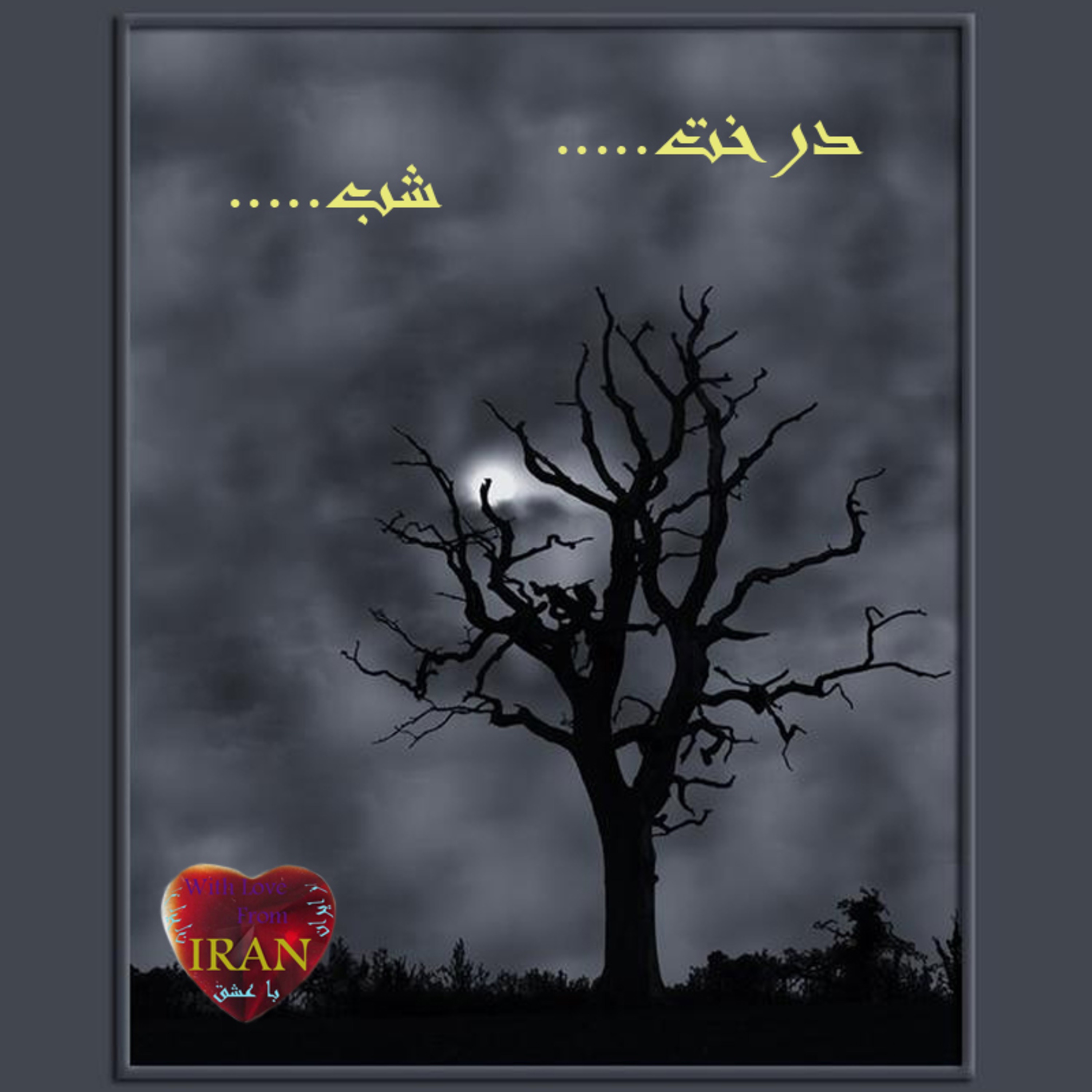 .....درخت.....شب episode artwork