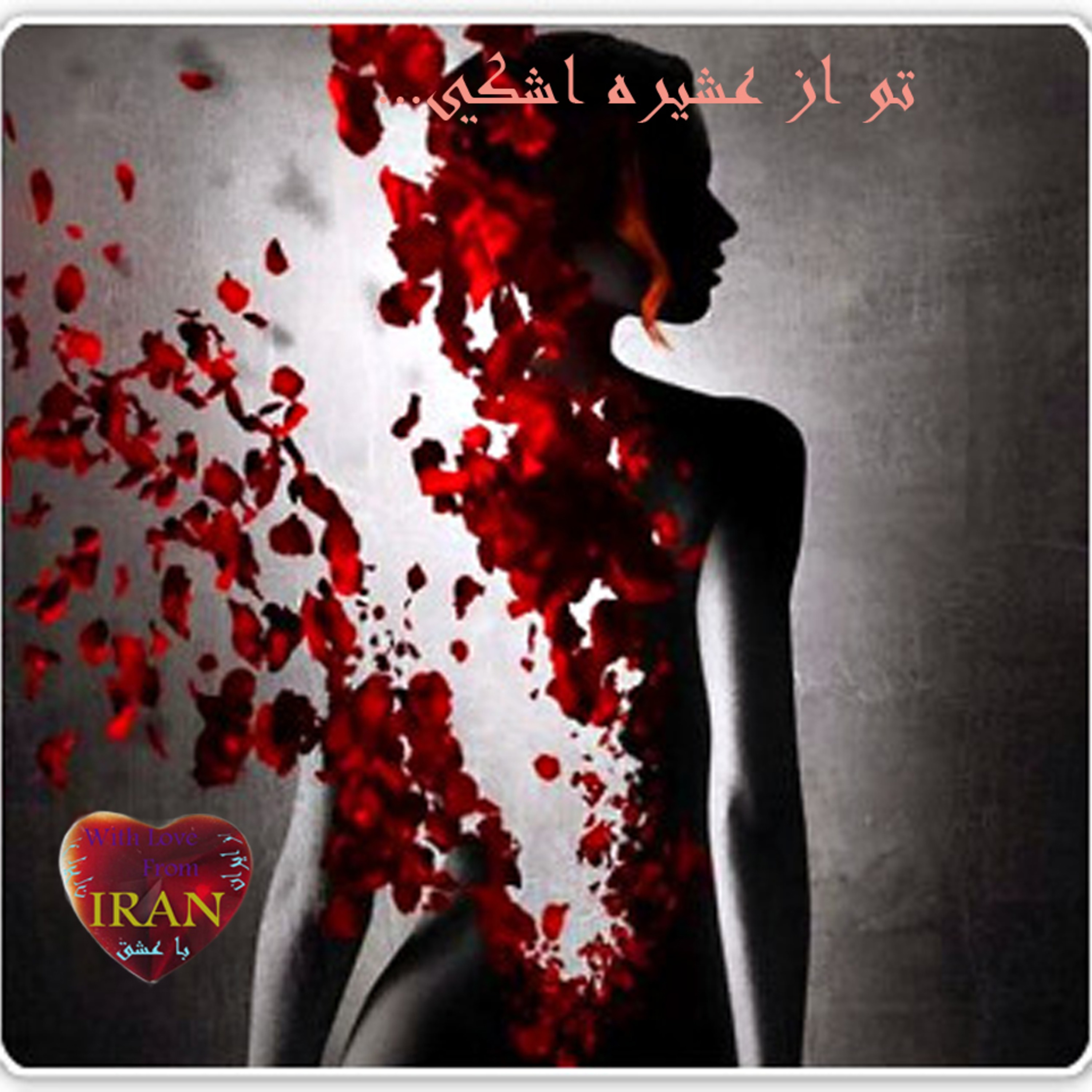 تو از عشیره اشکی