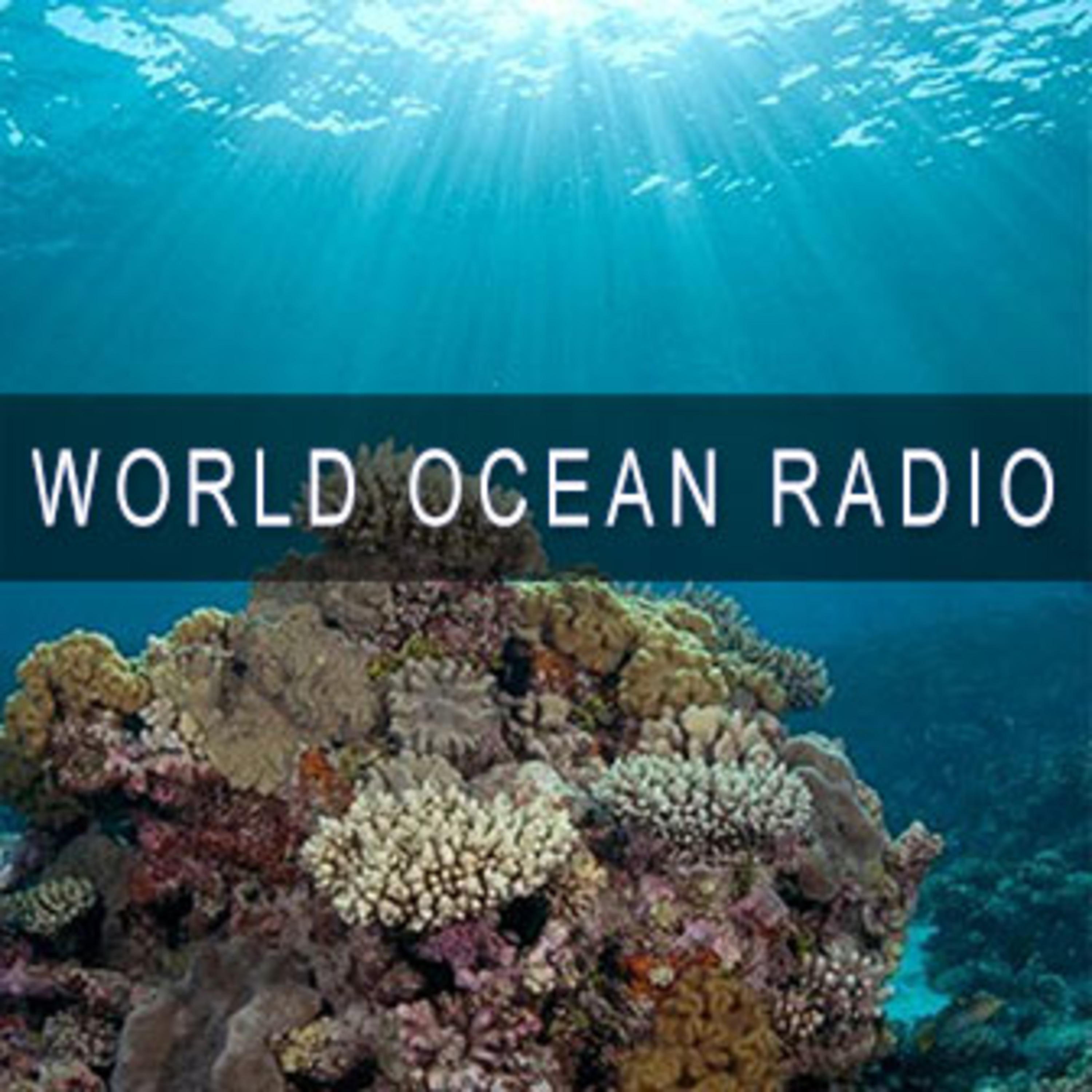 Включи радио океана