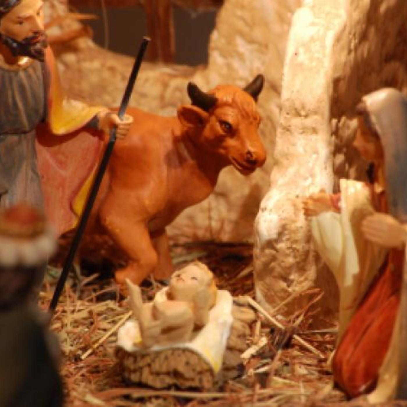 Countdown #6 The Christmas Story and more Countdown #6 The Christmas Story and more