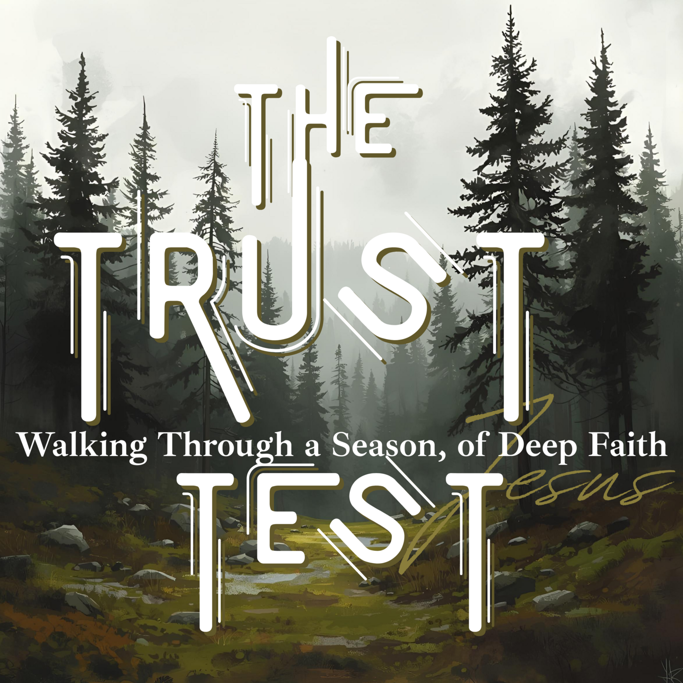 Episode 242: The TRUST Test | walking through a season of Deep Faith ❖ 242 episode artwork