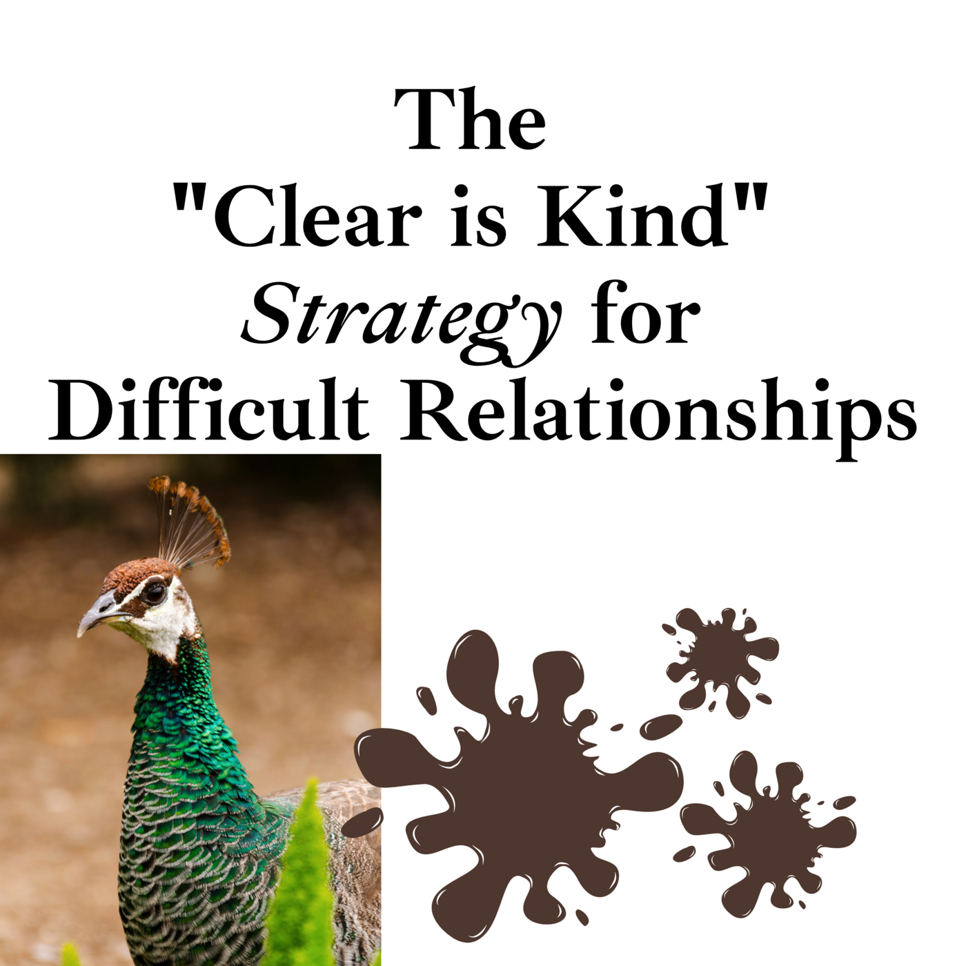 Episode 259: The "Clear is Kind" Strategy for Difficult Relationships ❖ 259 episode artwork