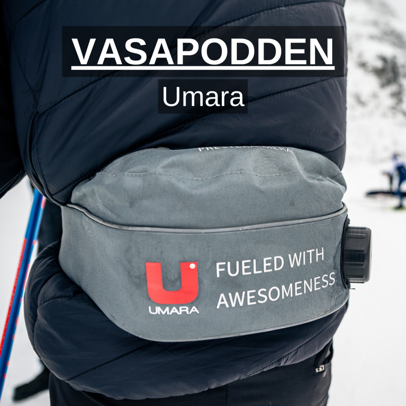 Vasapodden