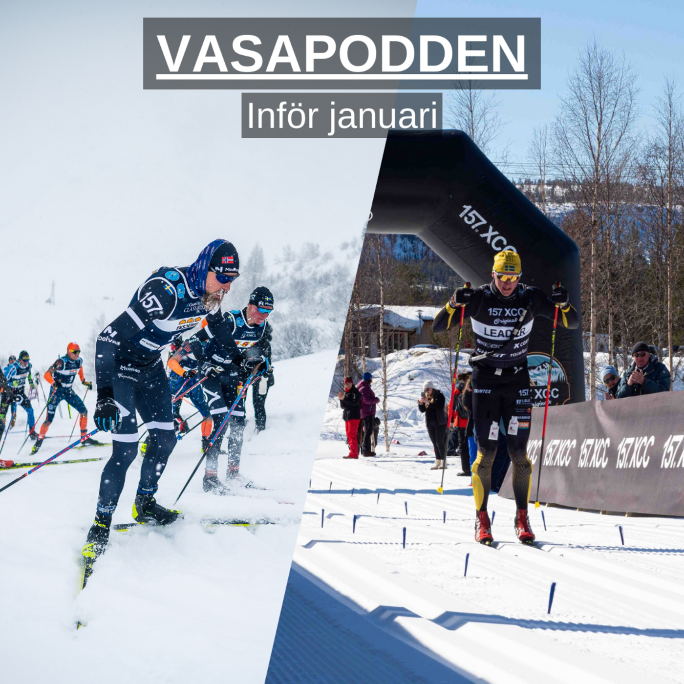 Vasapodden