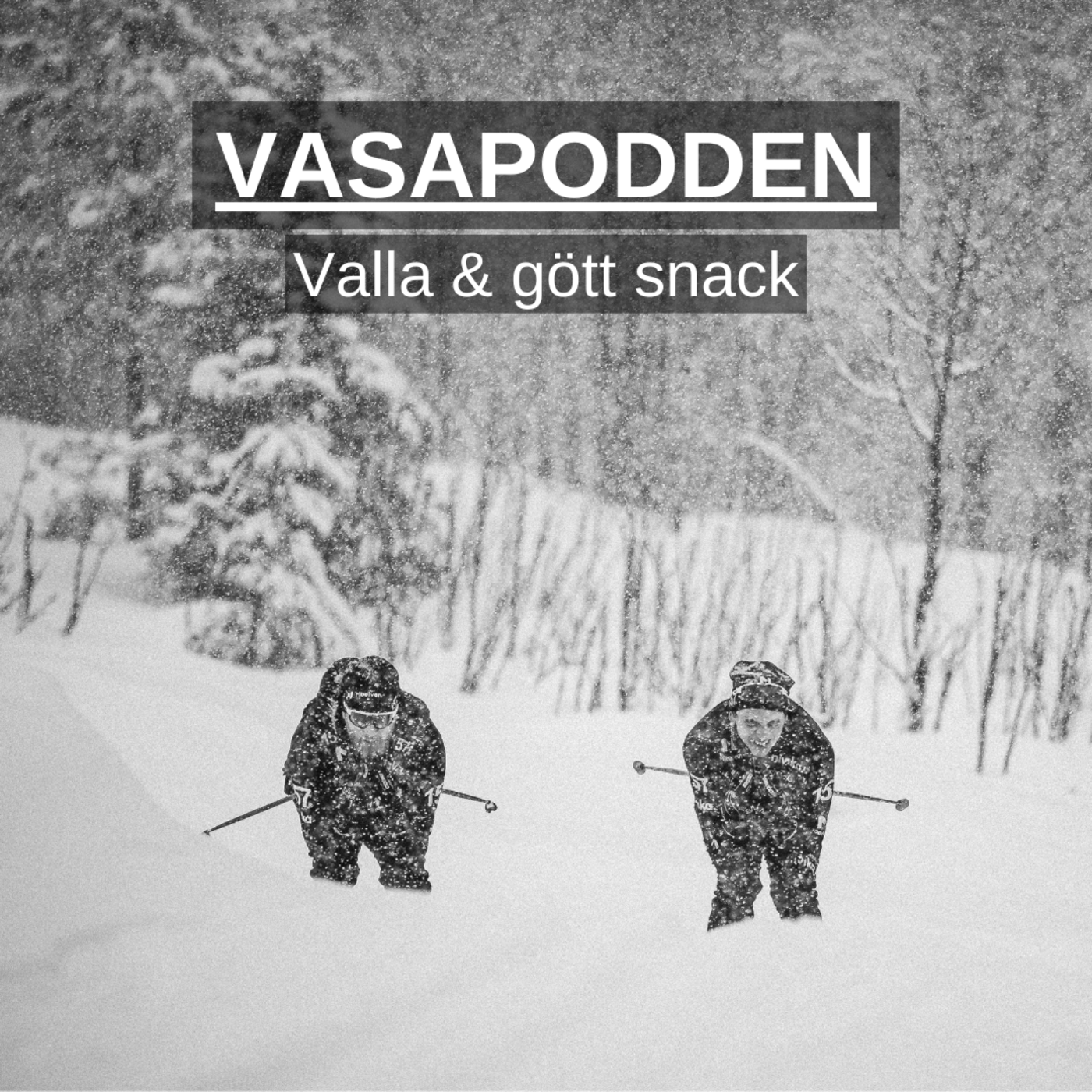 Vasapodden