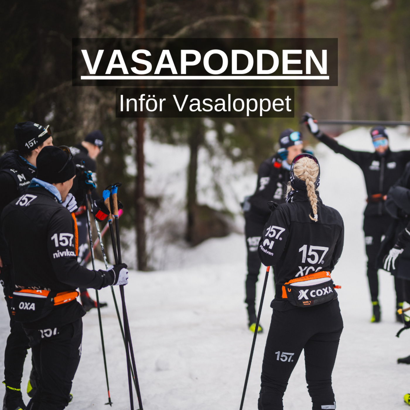 Vasapodden