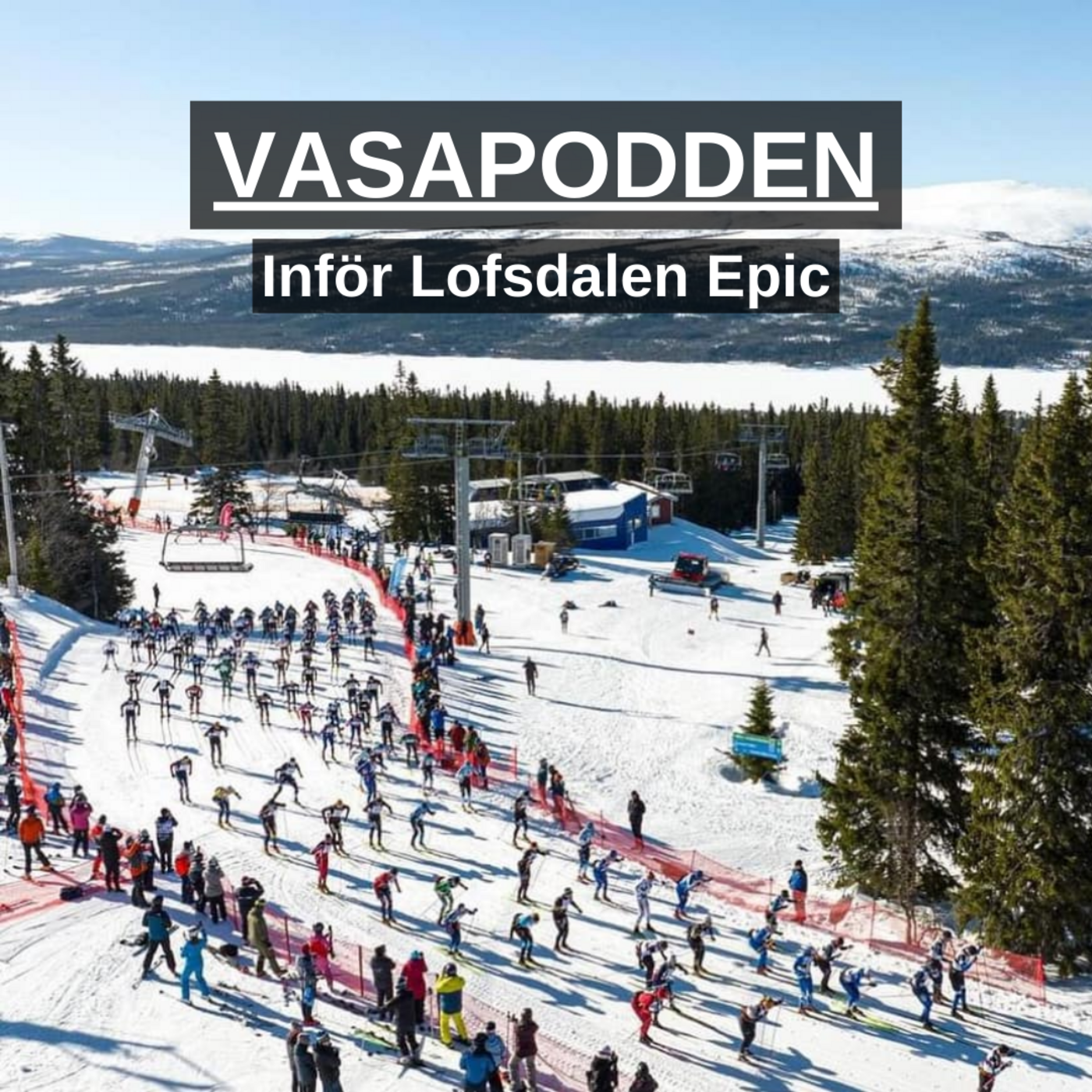 Vasapodden