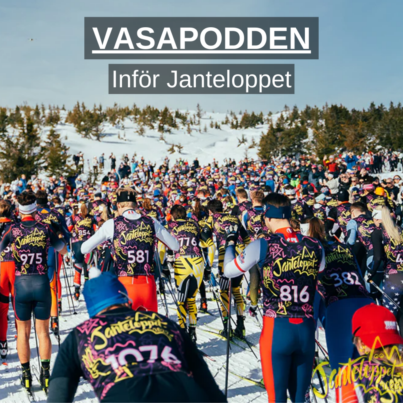 Vasapodden