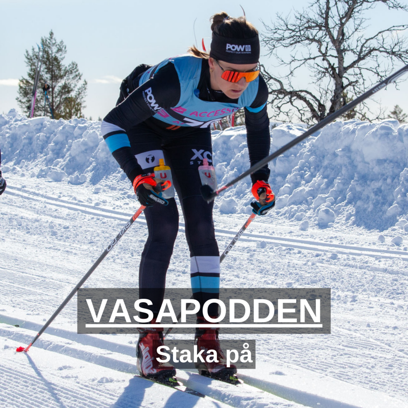 Vasapodden