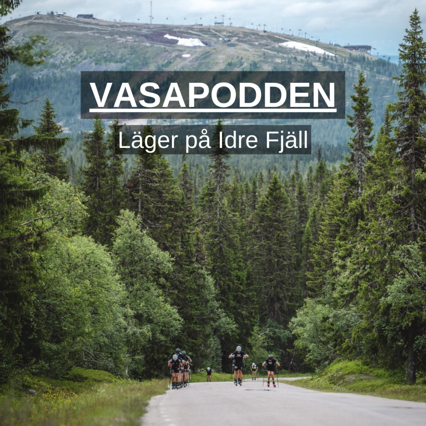 Vasapodden