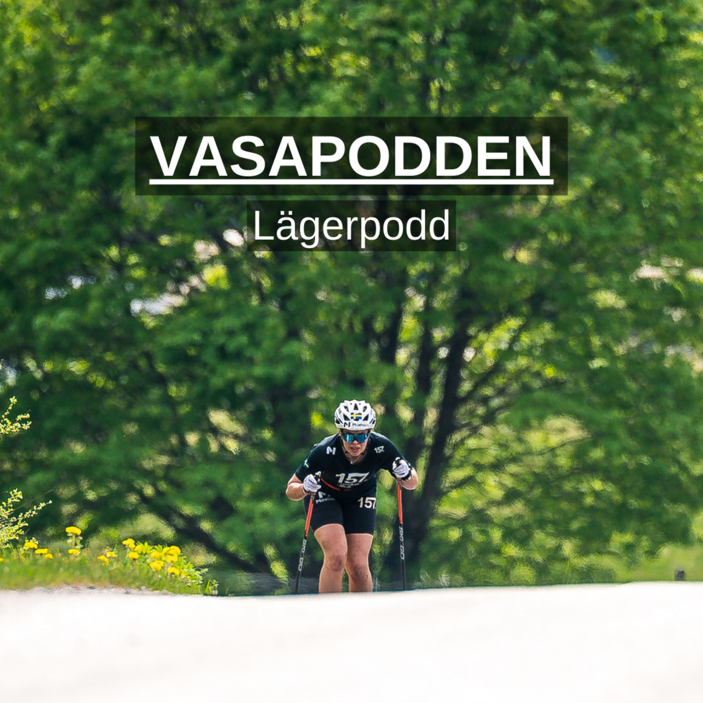Vasapodden