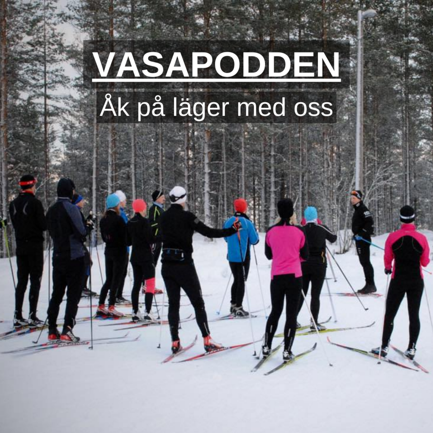 Vasapodden